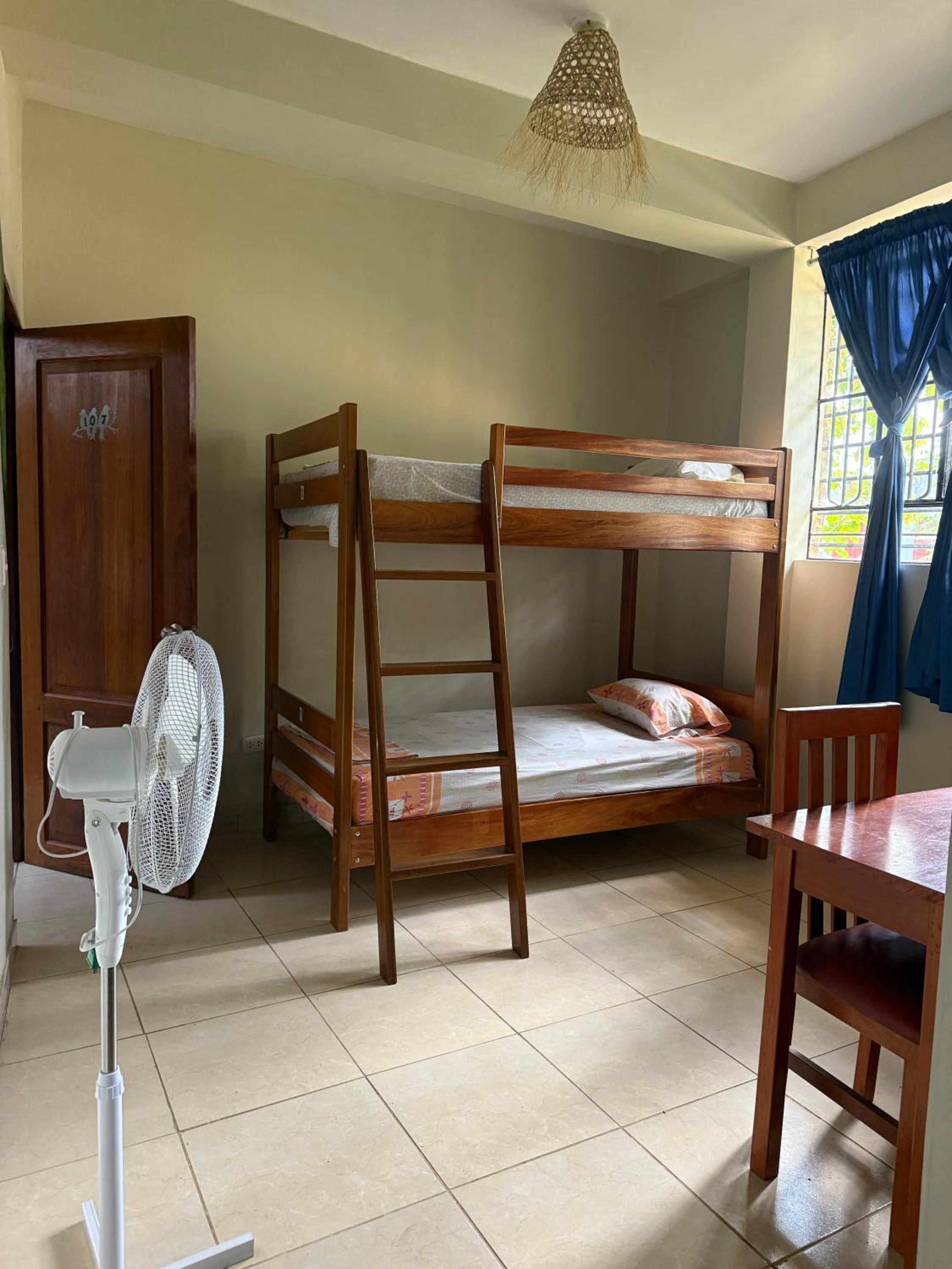 Bunk Bed in Mixed Dormitory Room photo 2