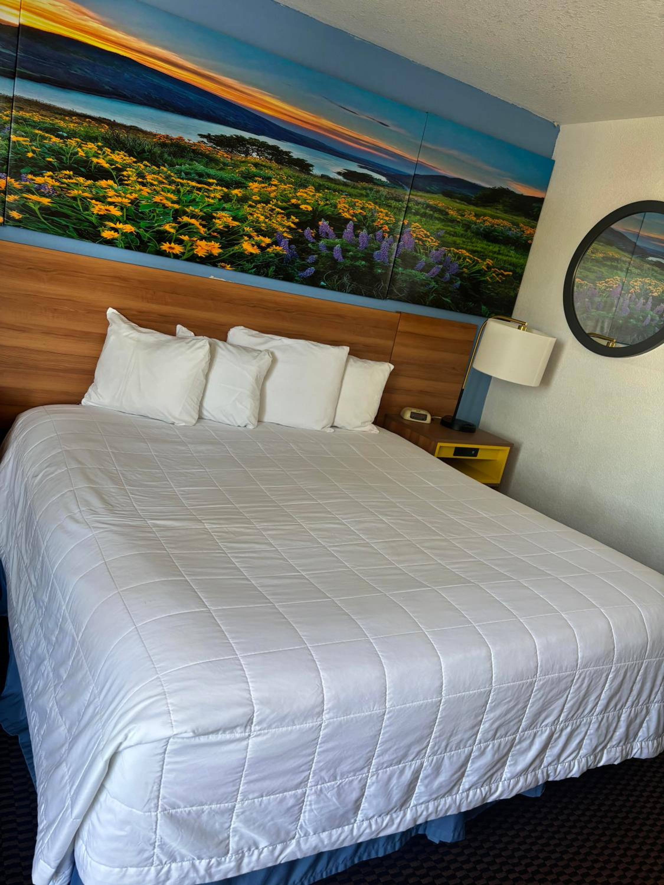 King Room - Non-Smoking - Photo 3