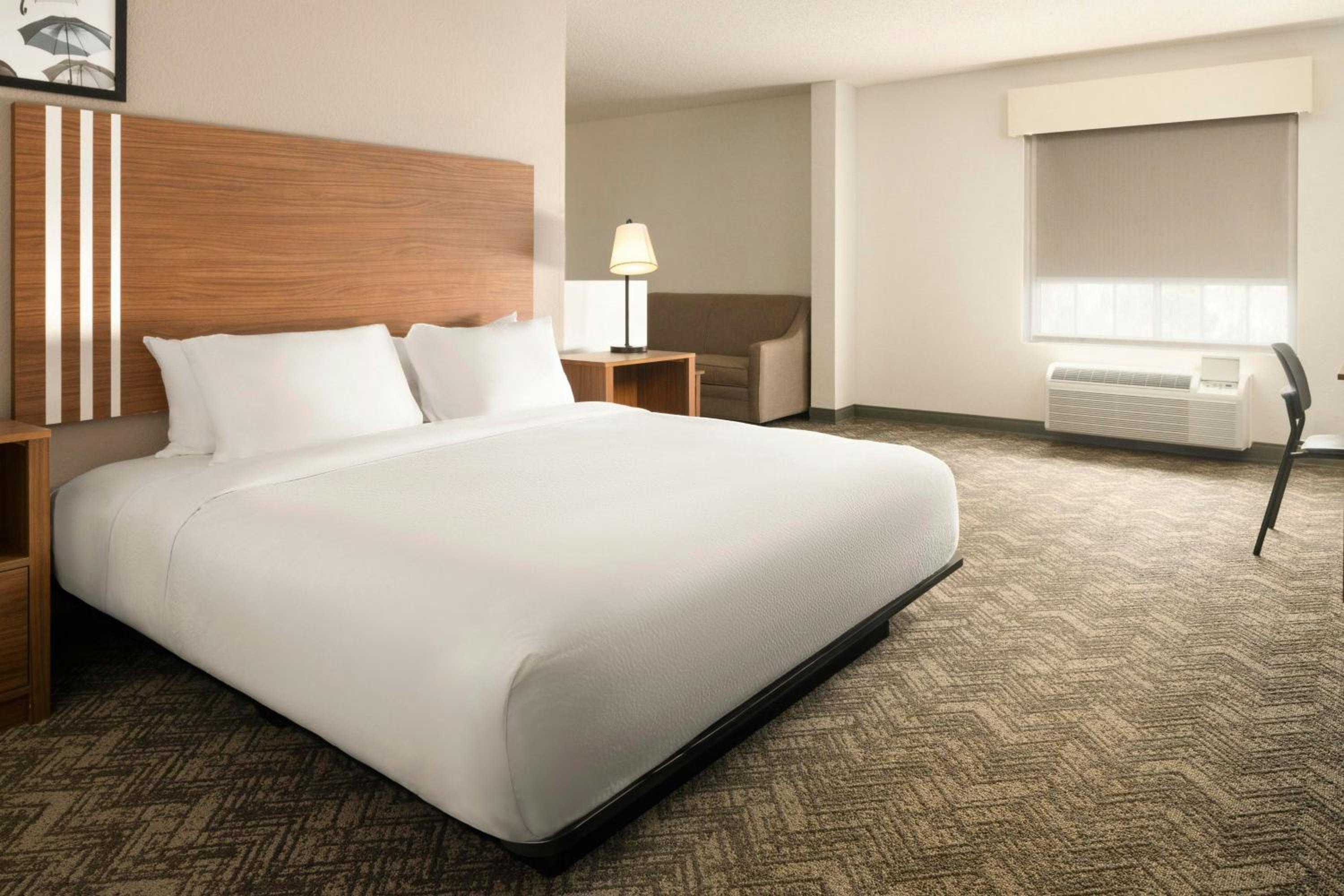 King Suite photo 3