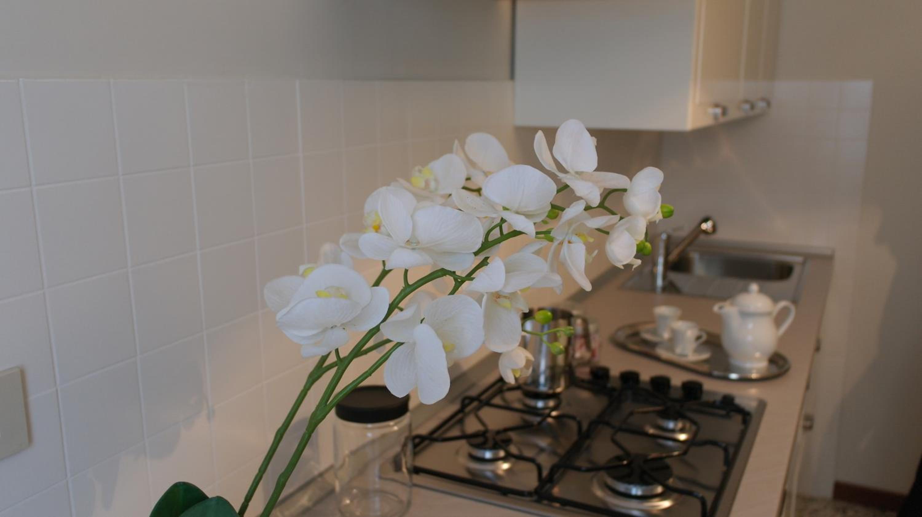 One-Bedroom Apartment - Ortensia Bianca photo 3