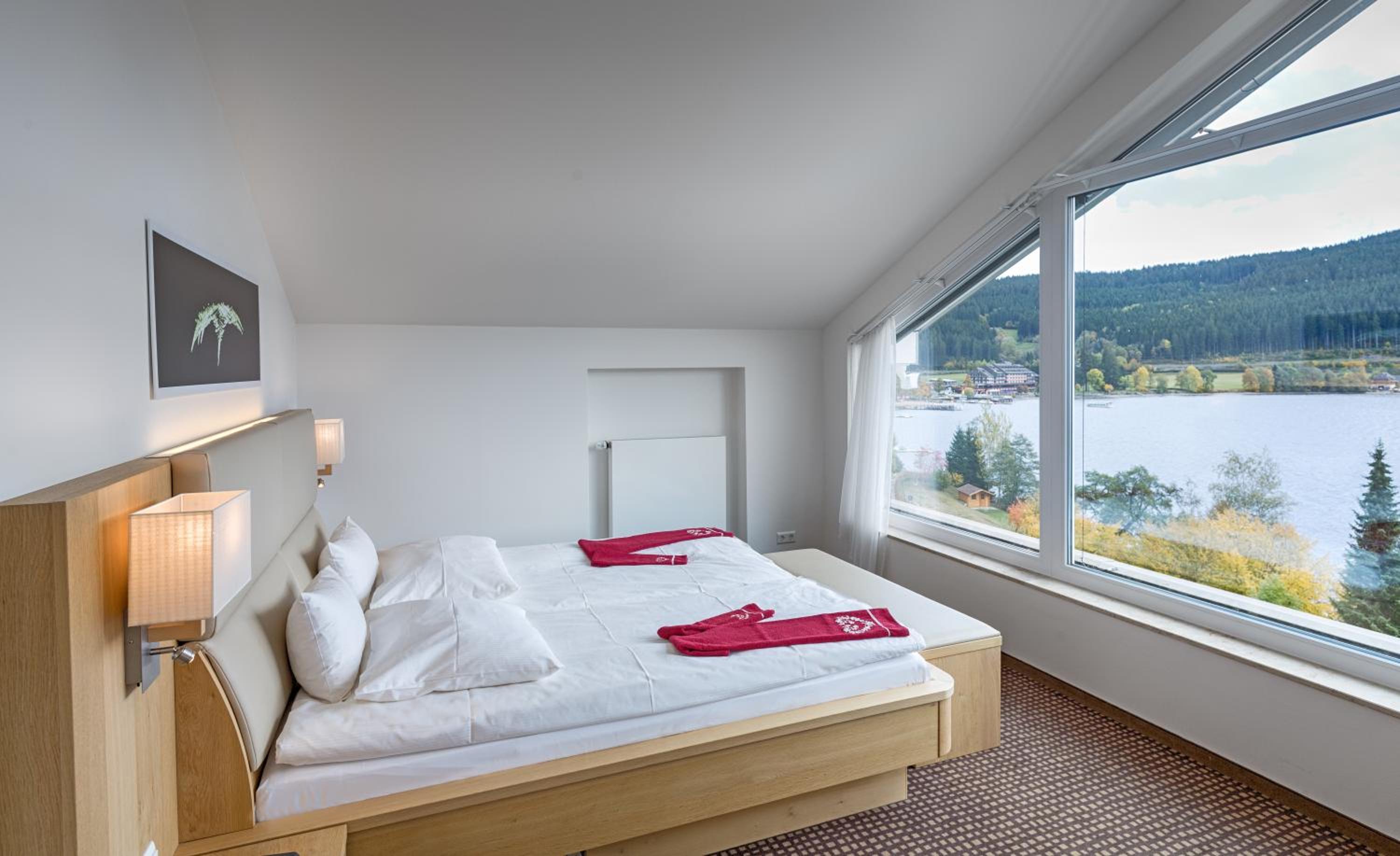 Panorama Suite Feldberg - Photo 3
