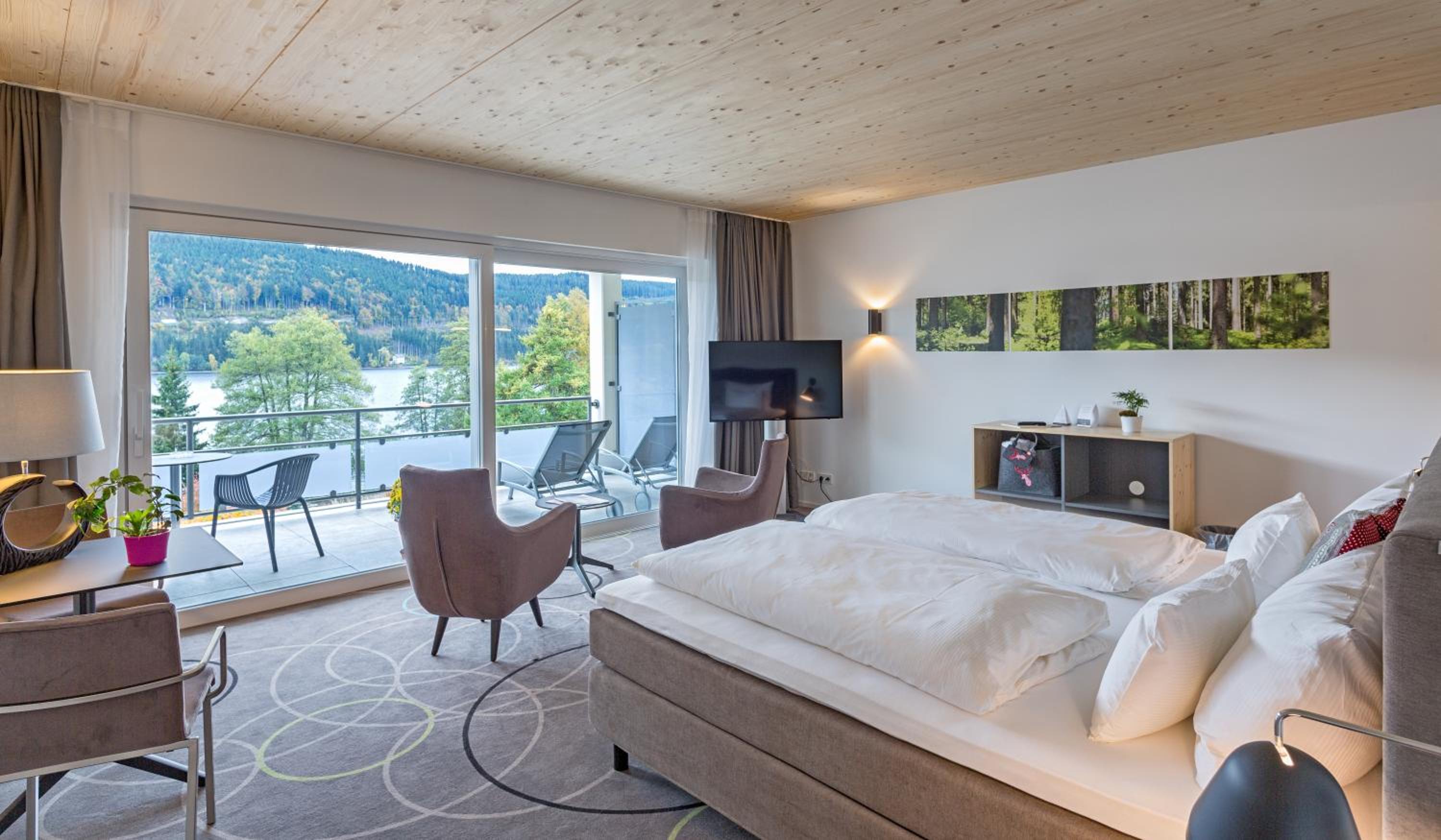 Small Suite Titisee - Photo 4