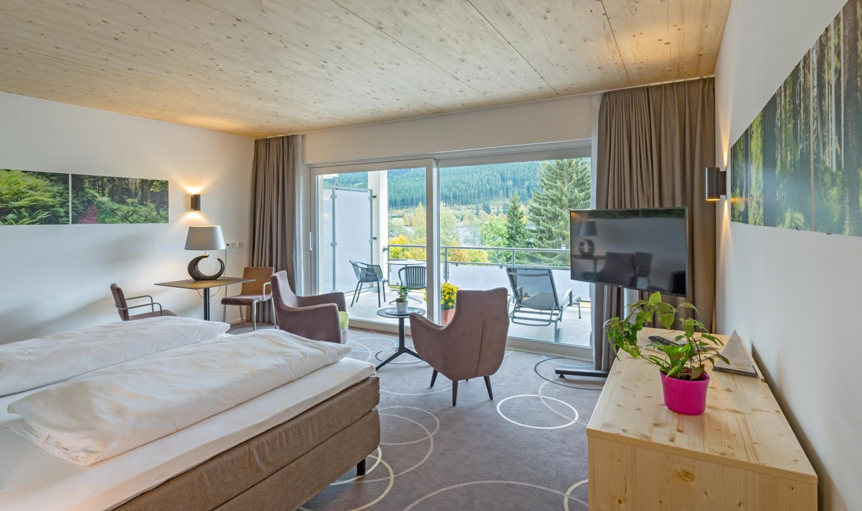 Small Suite Titisee - Photo 1