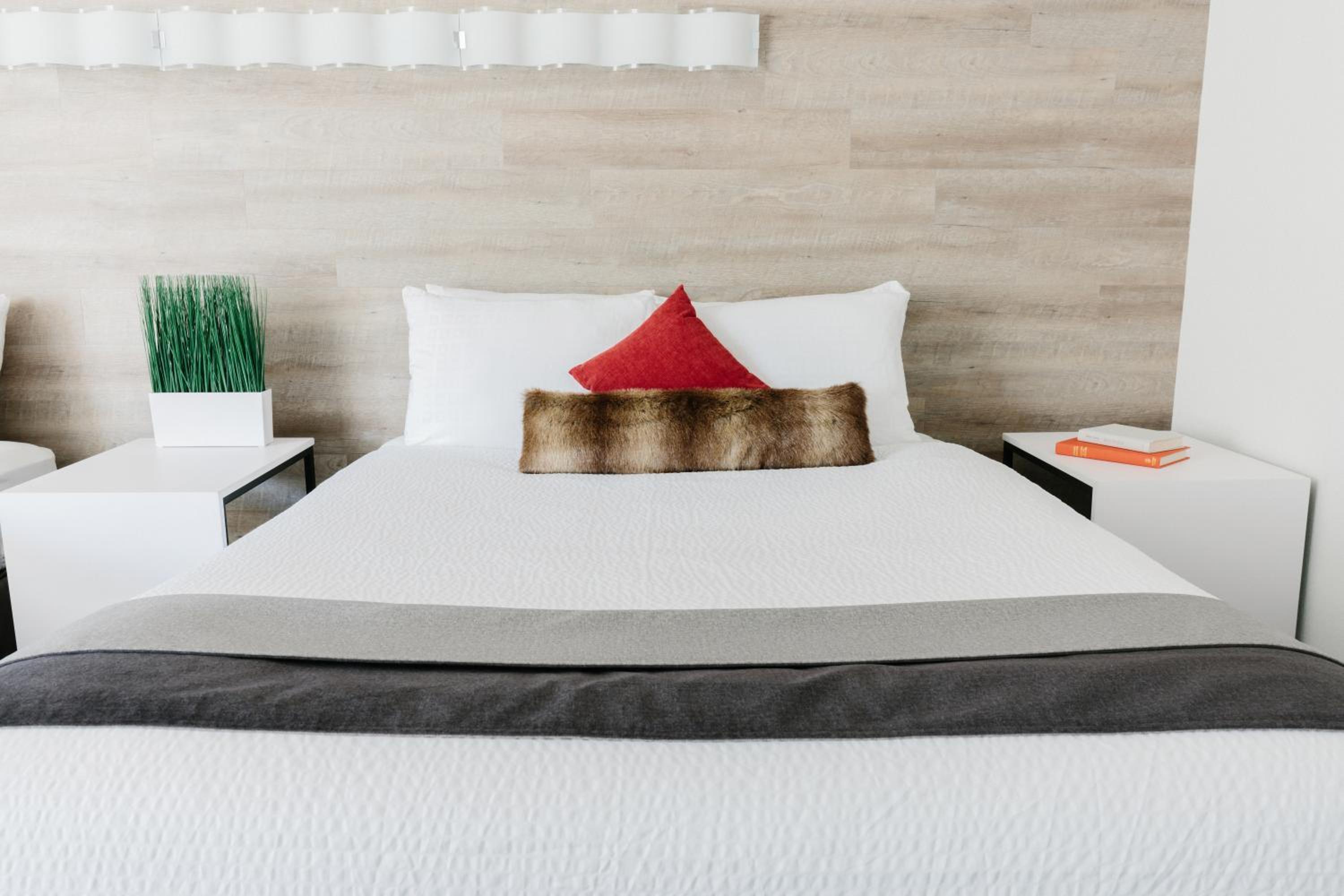 Standard Queen Room with Two Queen Beds photo 3