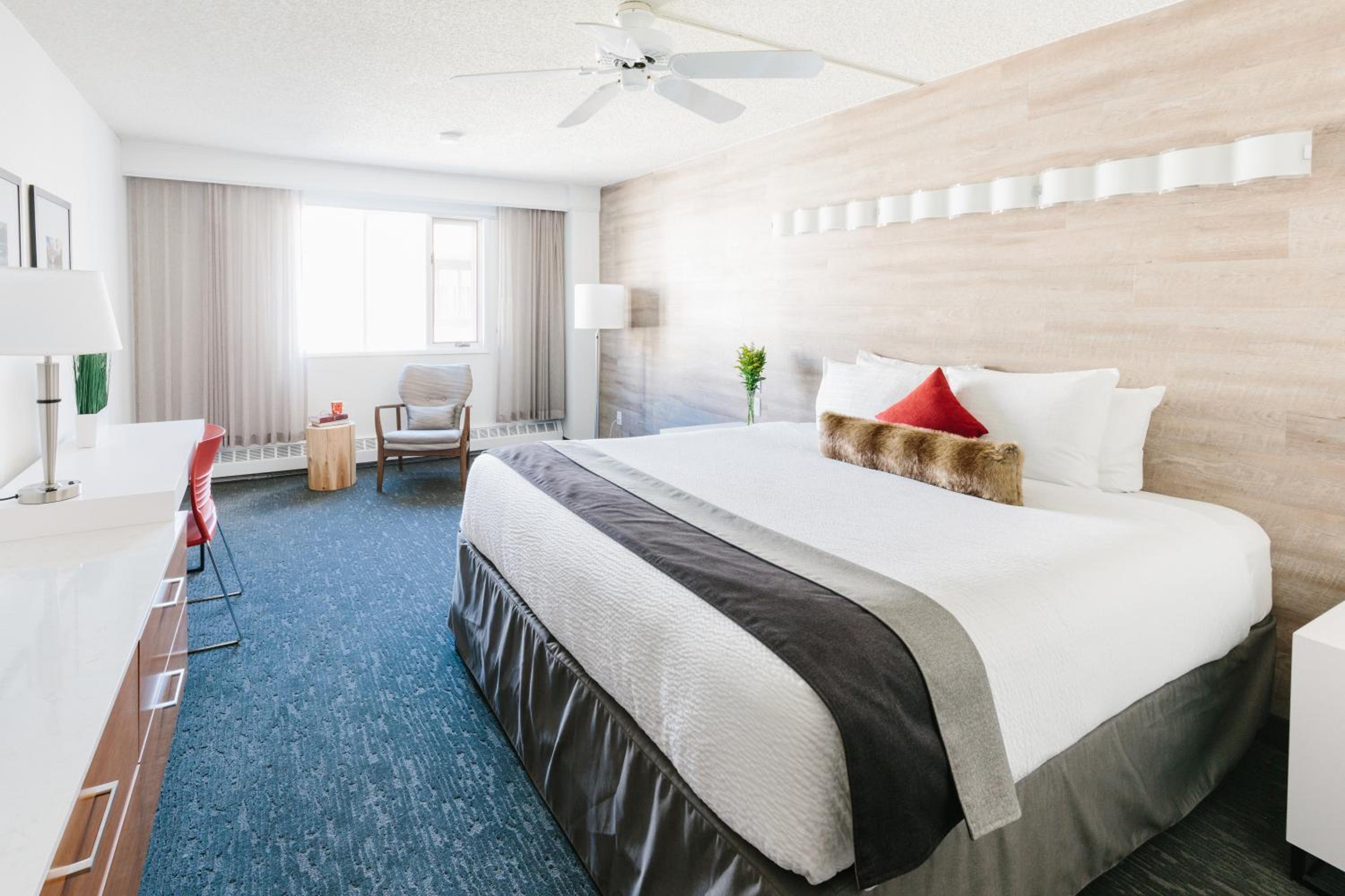 Standard King Room photo 1