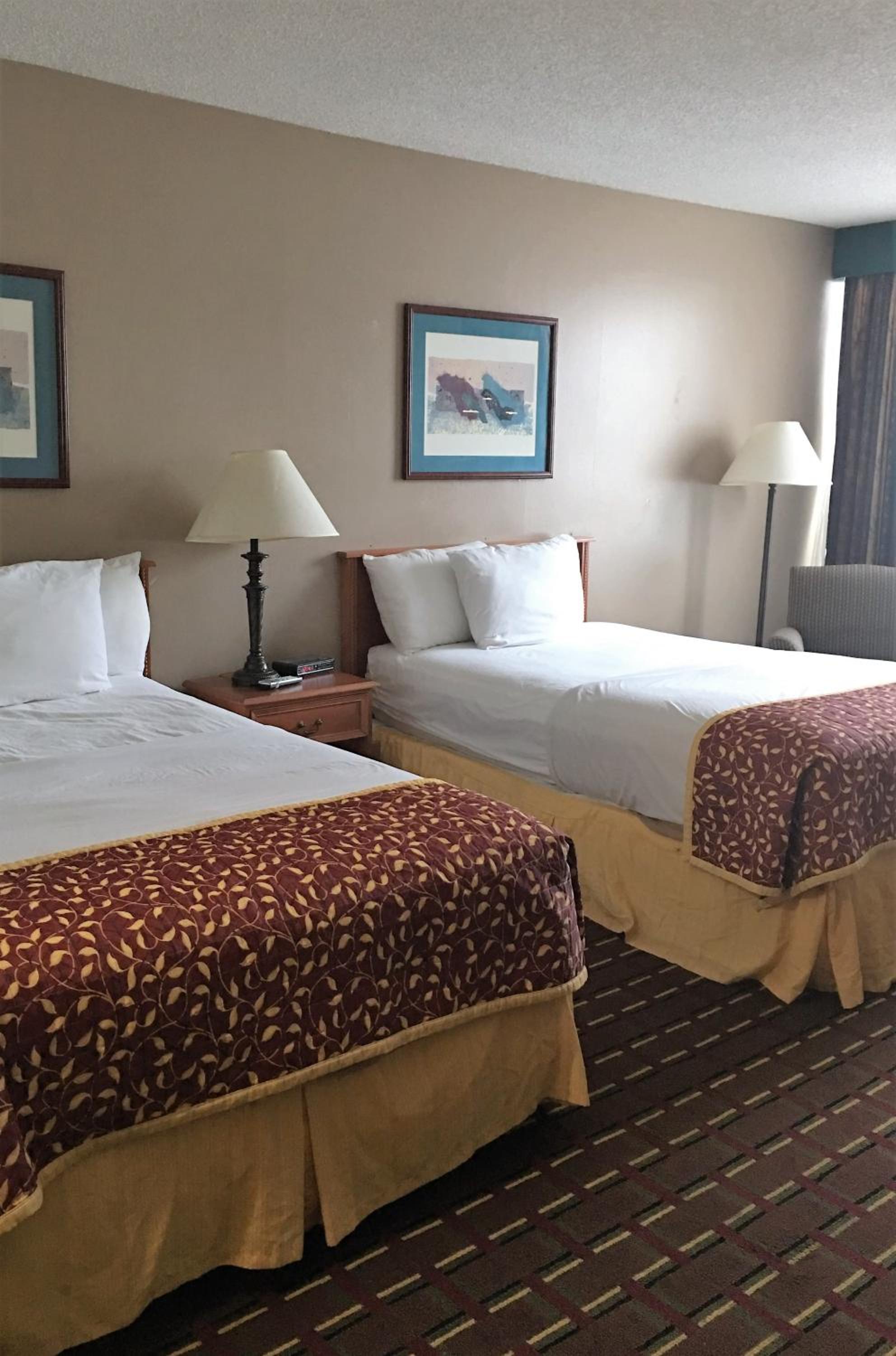 Double Room with Two Double Beds - Photo 9