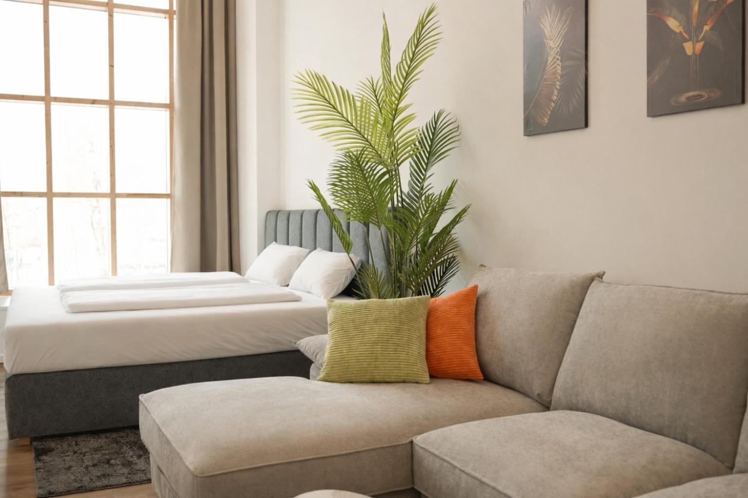 One-Bedroom Family Apartment photo 2