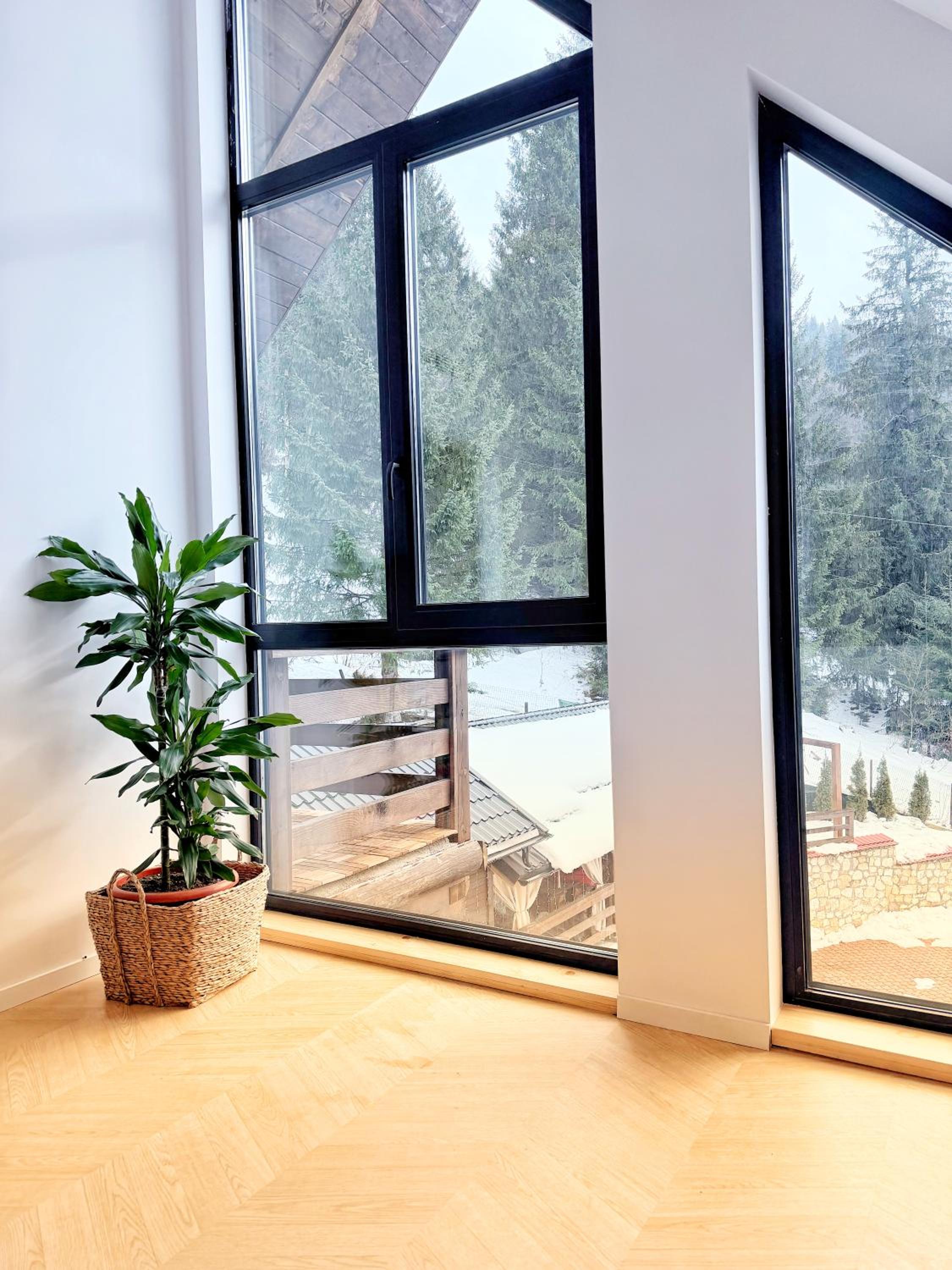 Two-Bedroom Chalet photo 1