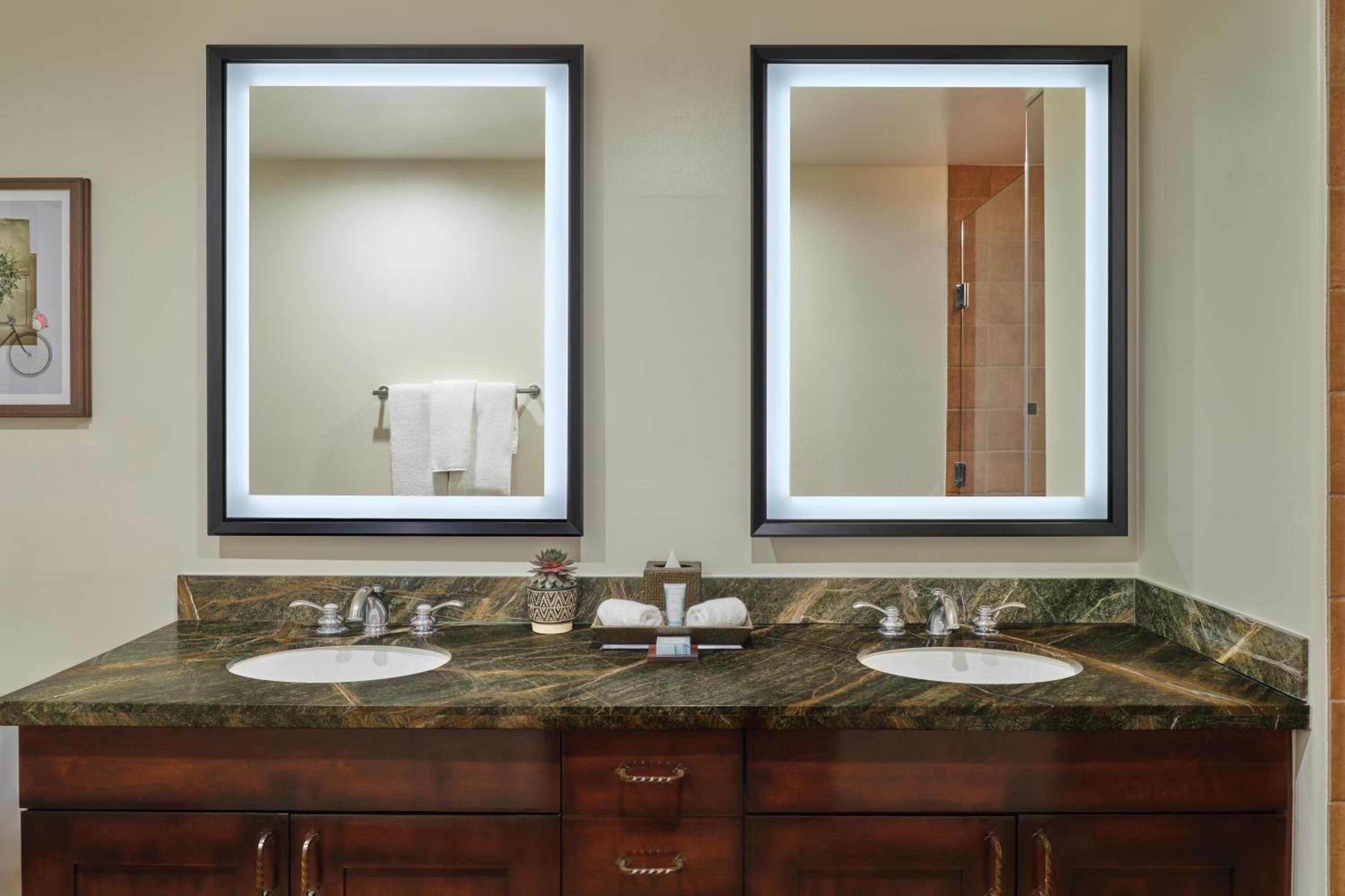 One Bedroom Accessible Shower photo 2