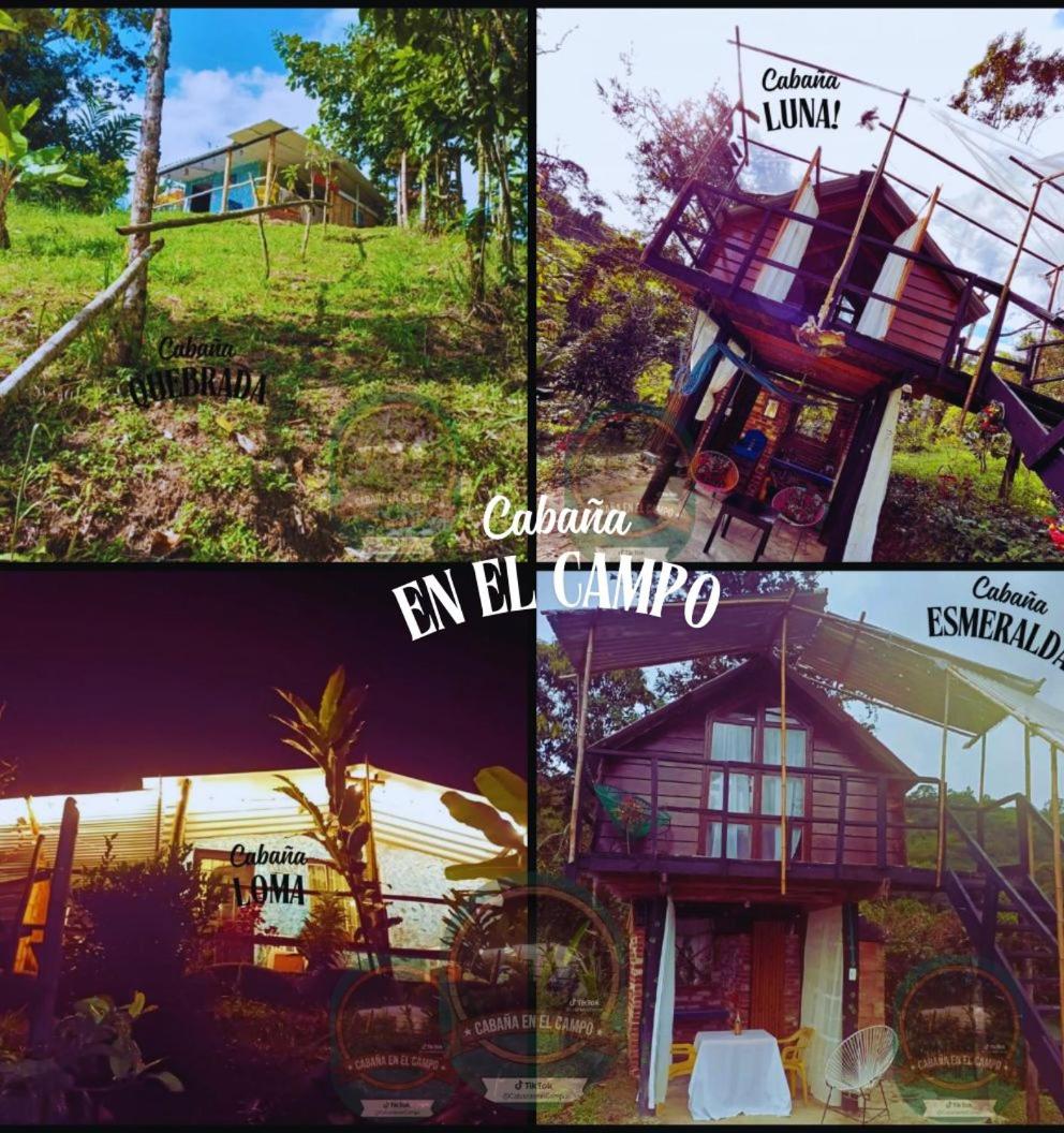Chalet photo 1