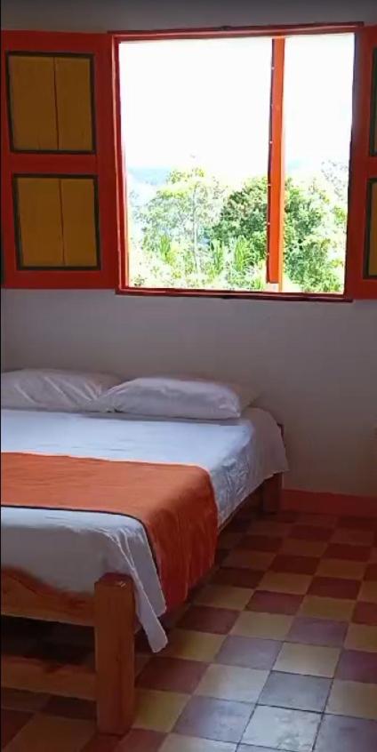 Double Room with Mountain View photo 1