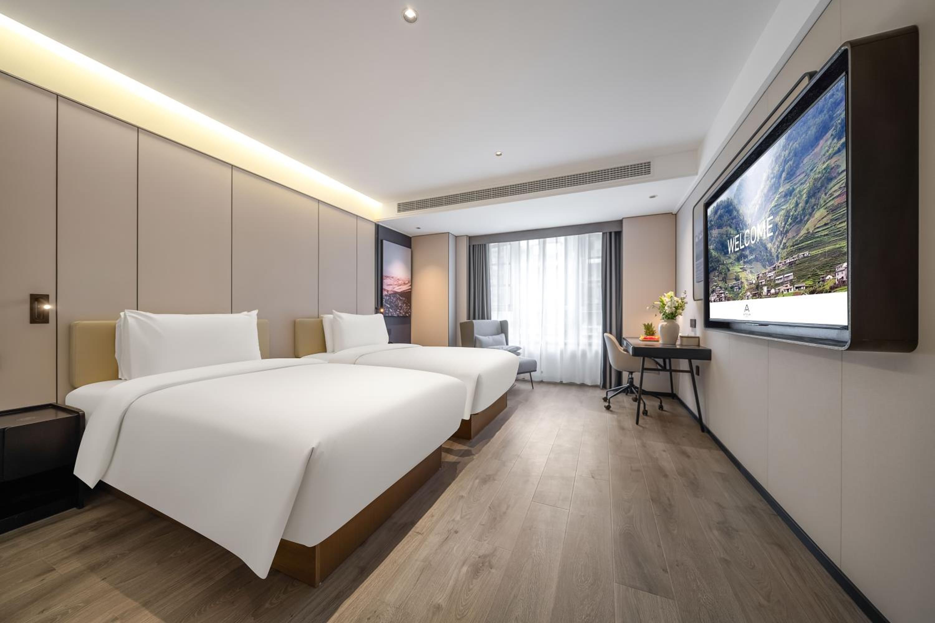 Deluxe Twin Room photo 1