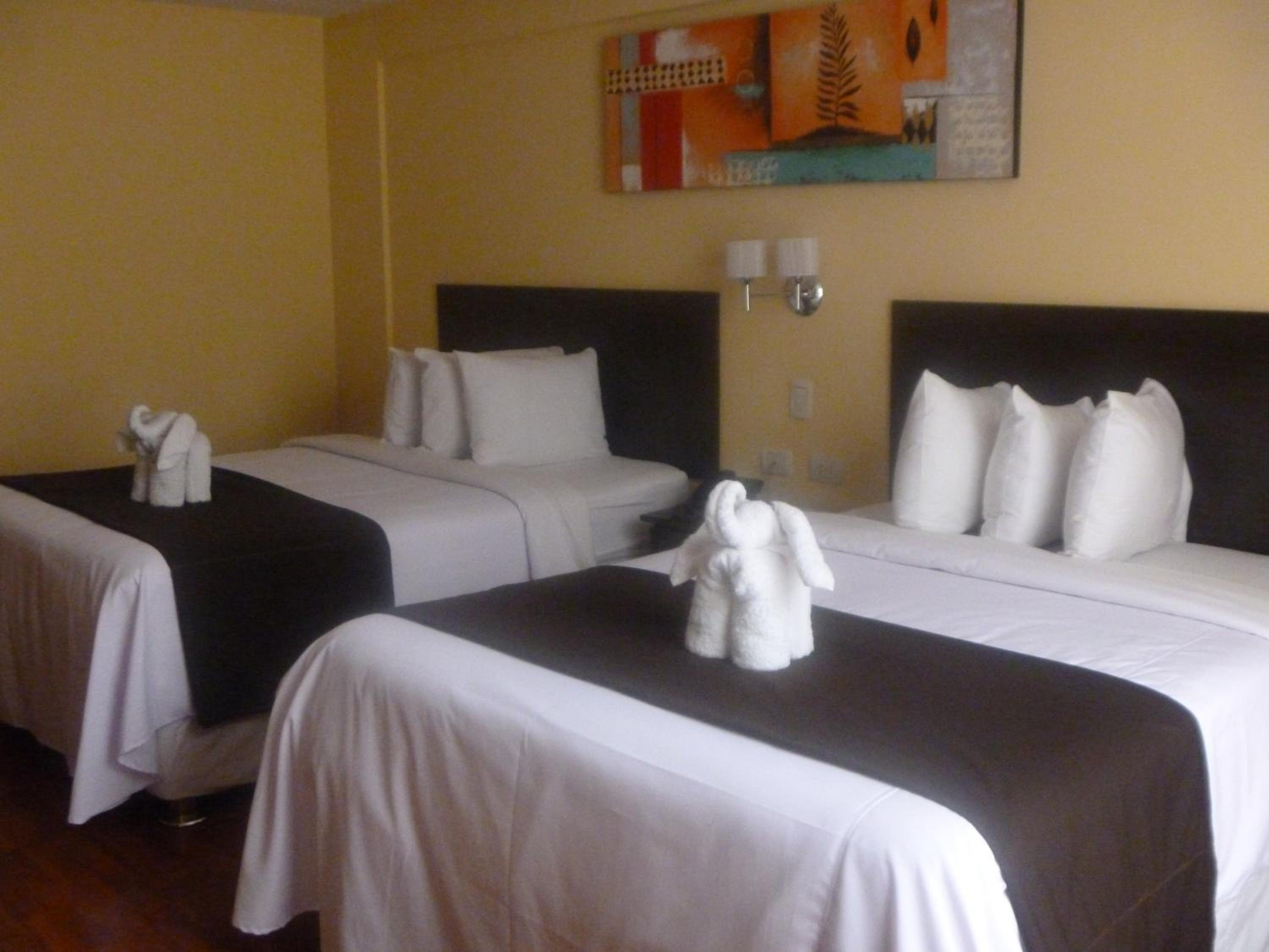 Twin Room - Photo 19