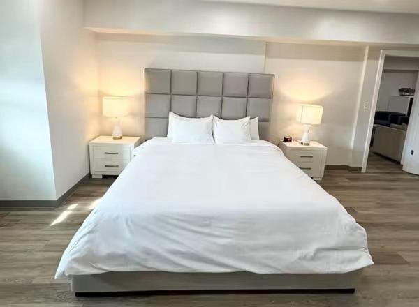 Three-Bedroom Apartment Suite photo 1