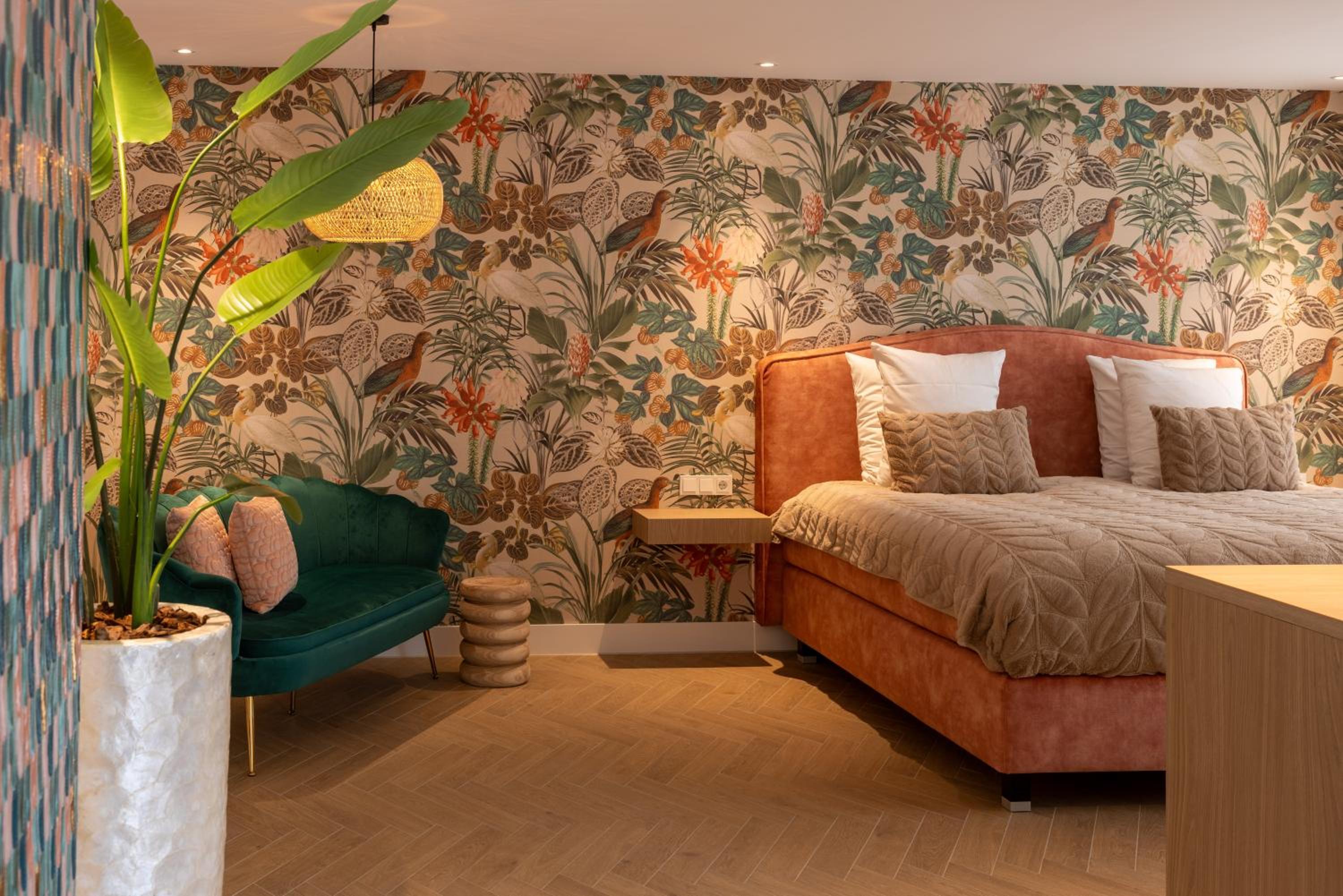 Suite photo 1