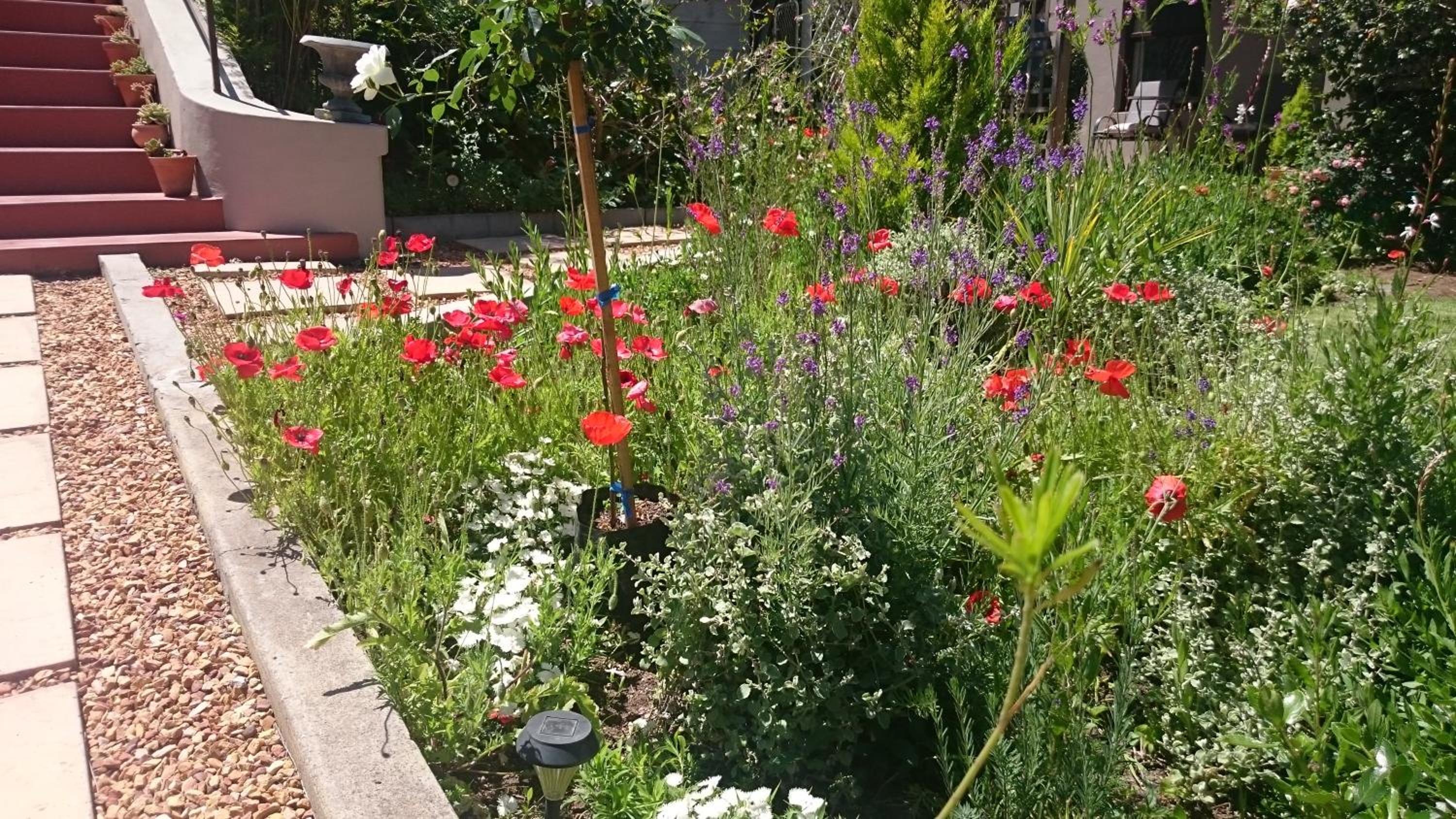 Abigail's Garden Cottage - Self Catering - Photo 3