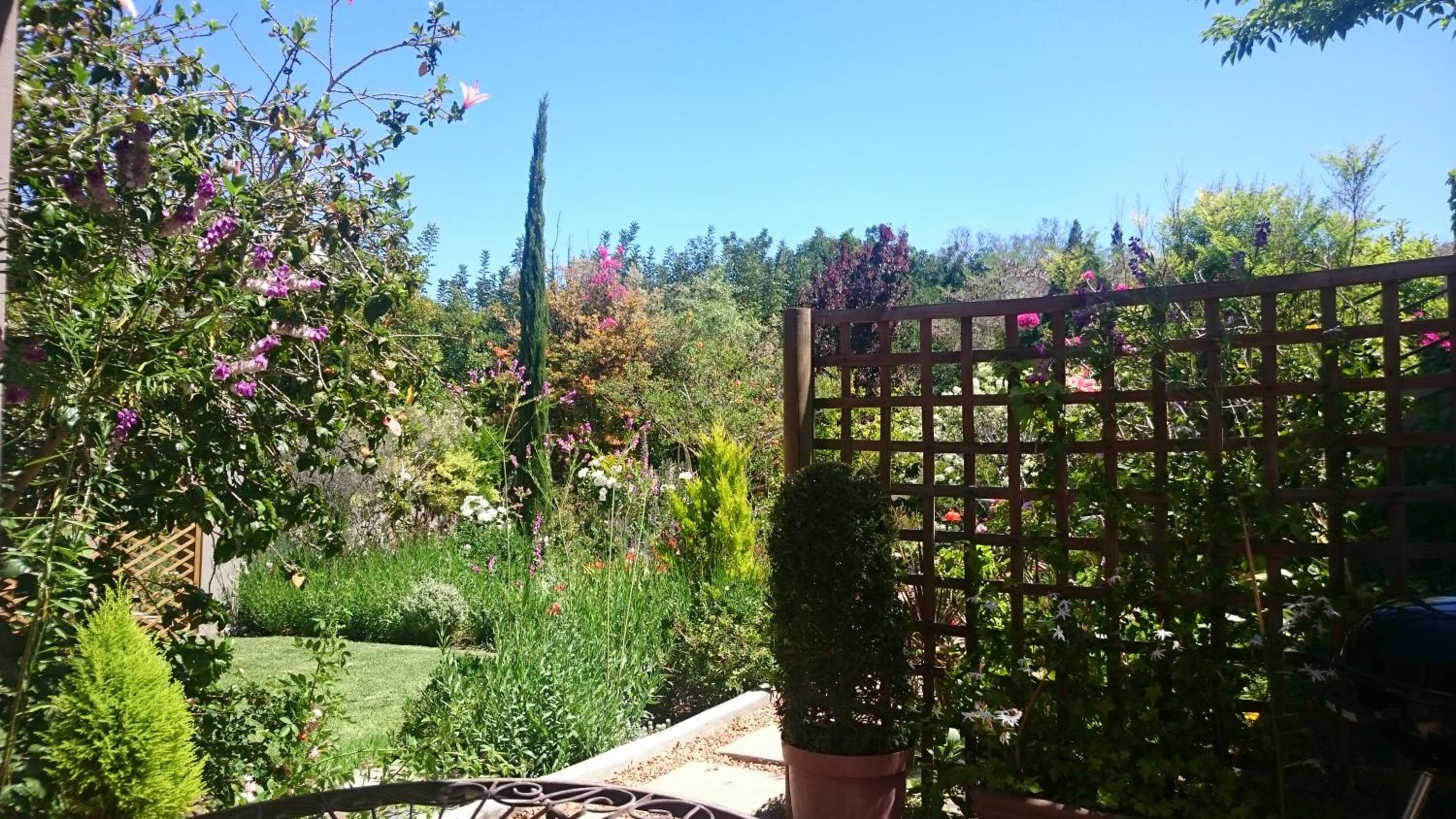 Abigail's Garden Cottage - Self Catering - Photo 4