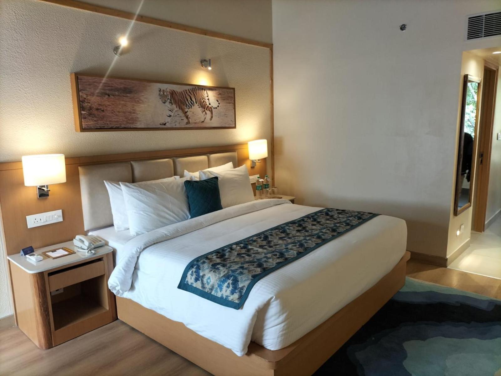 Superior Double Room with Balcony photo 1