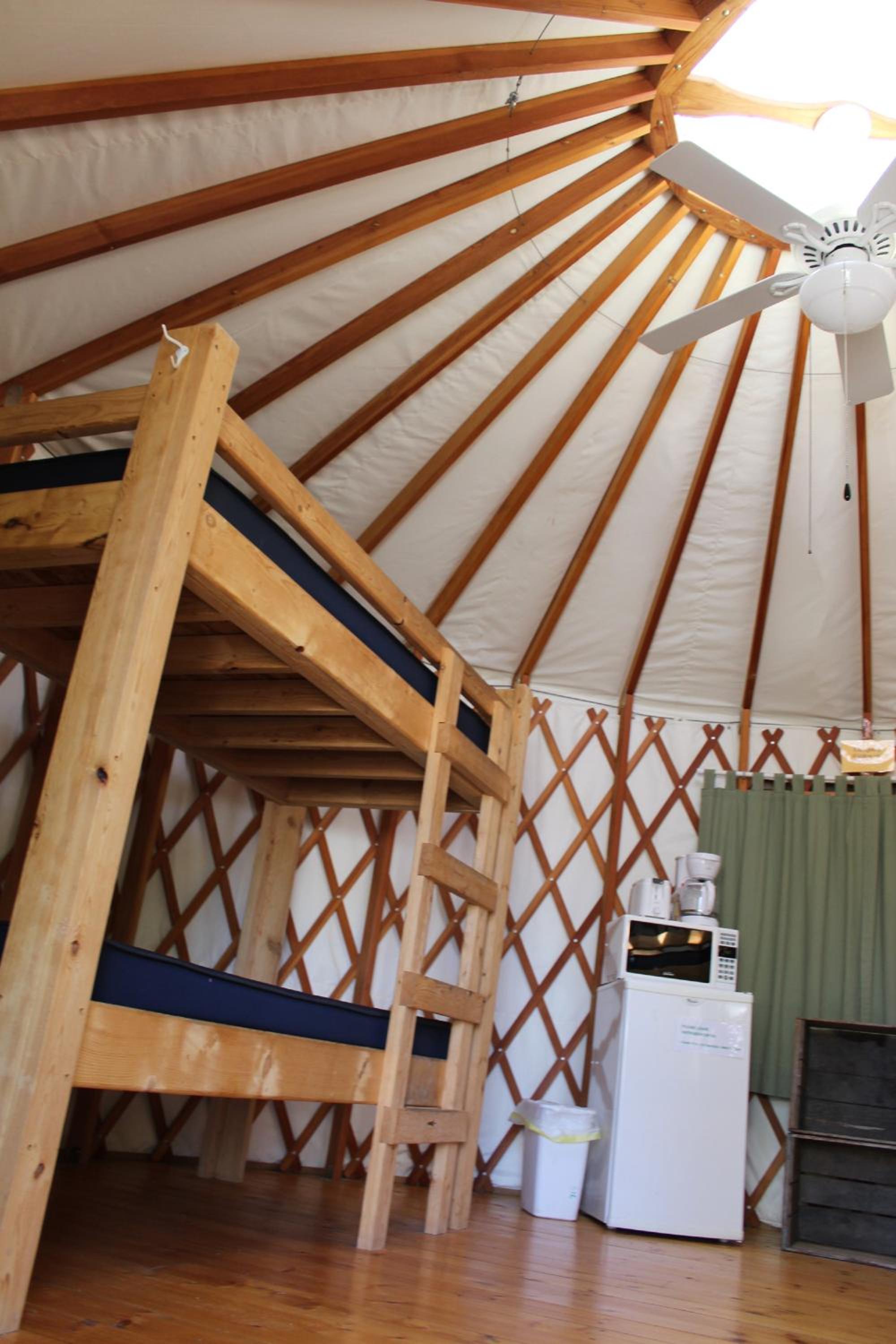 Yurt photo 1