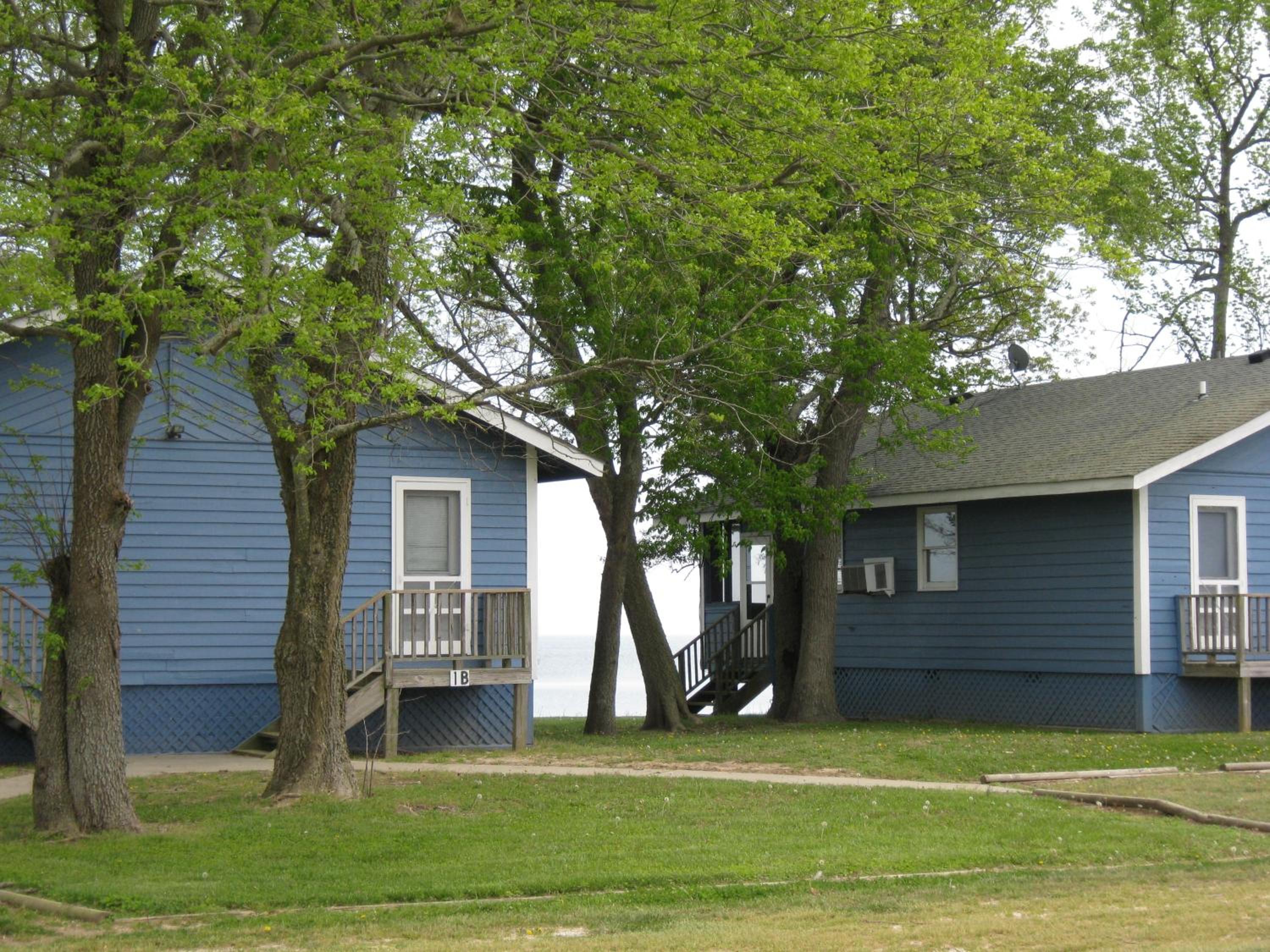 One-Bedroom Cabin photo 3