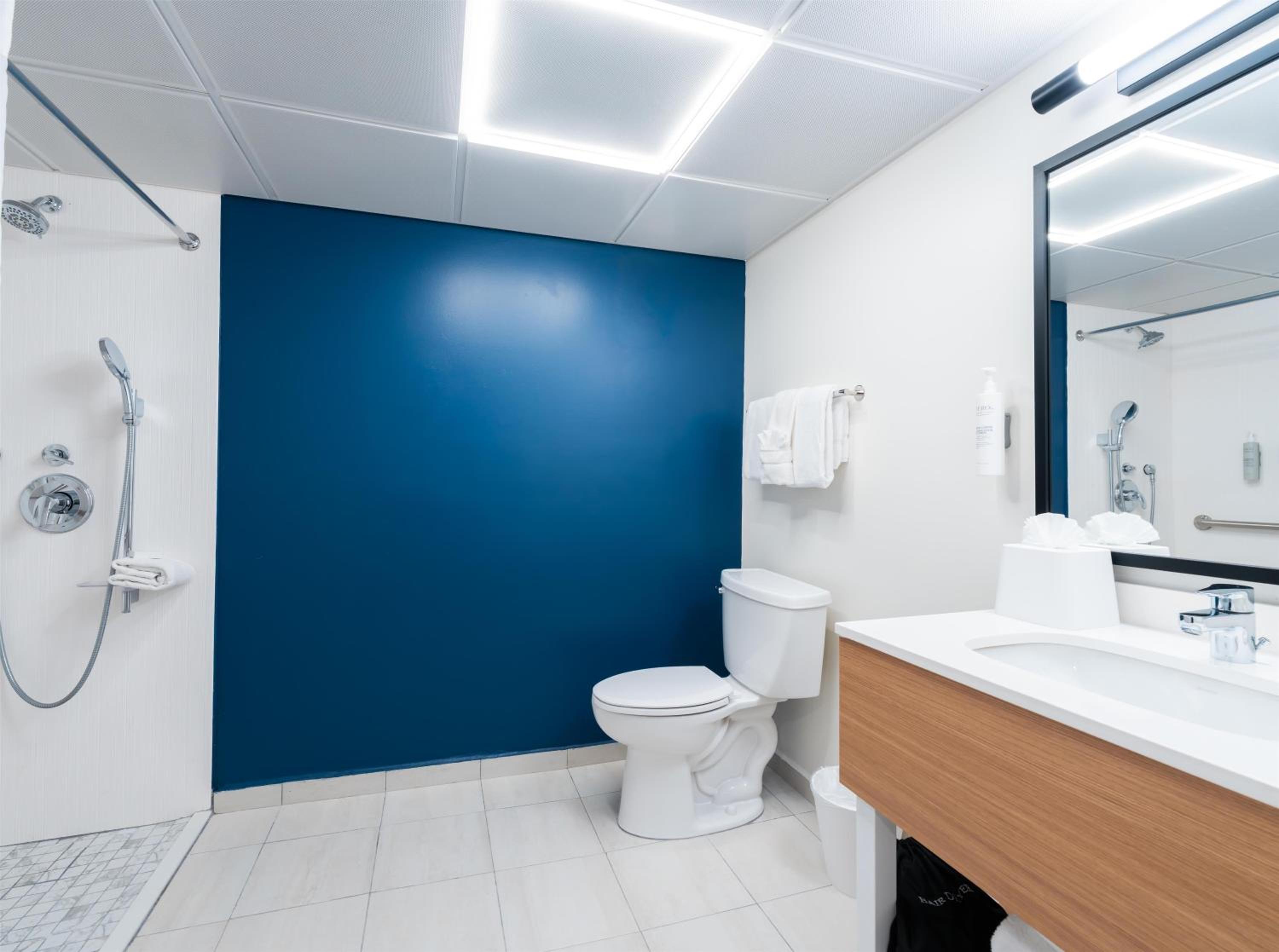 Queen Room with Sofa Bed and Roll-In Shower - Mobility Access - Photo 6