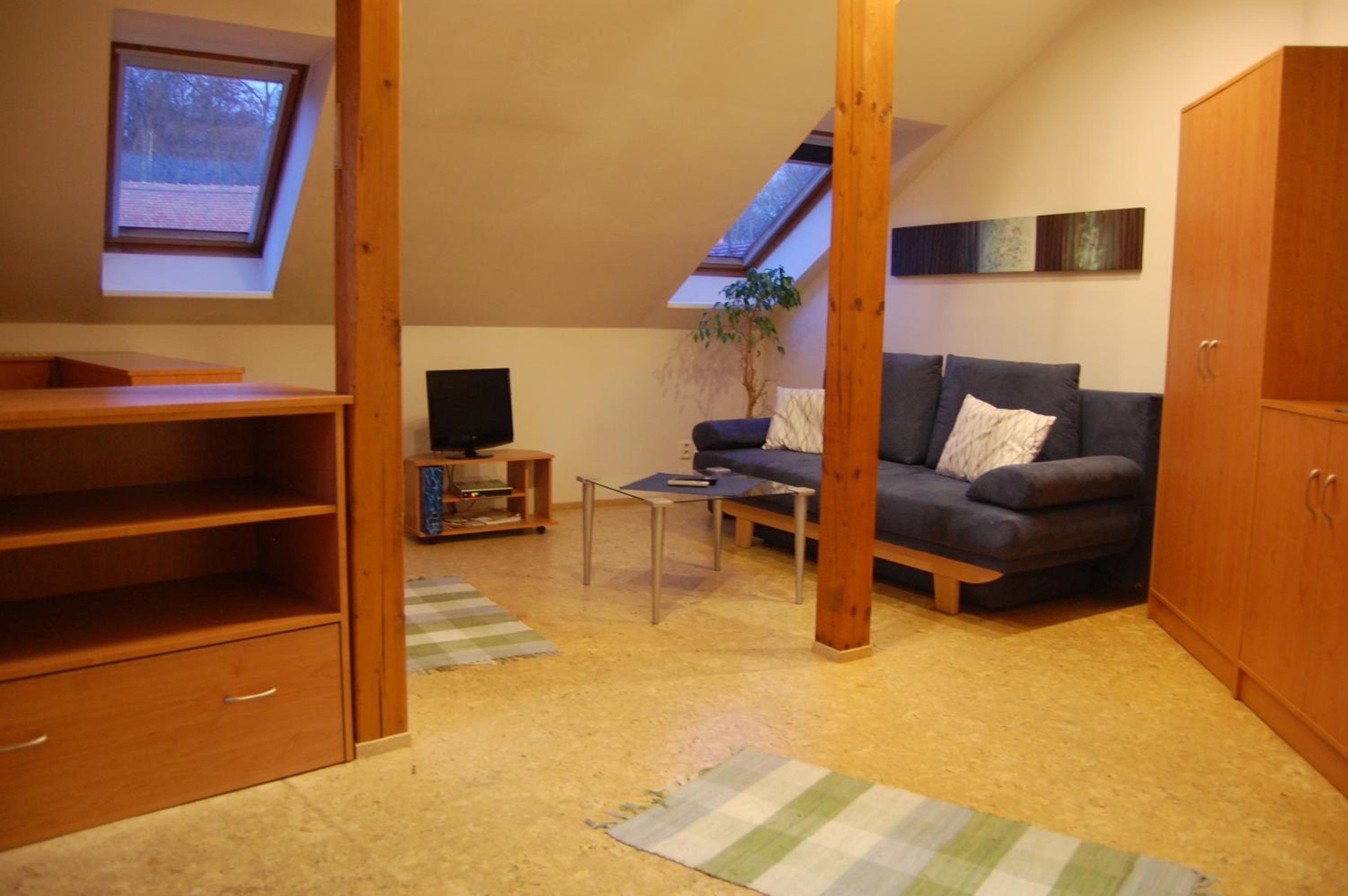 Standard Apartment photo 2