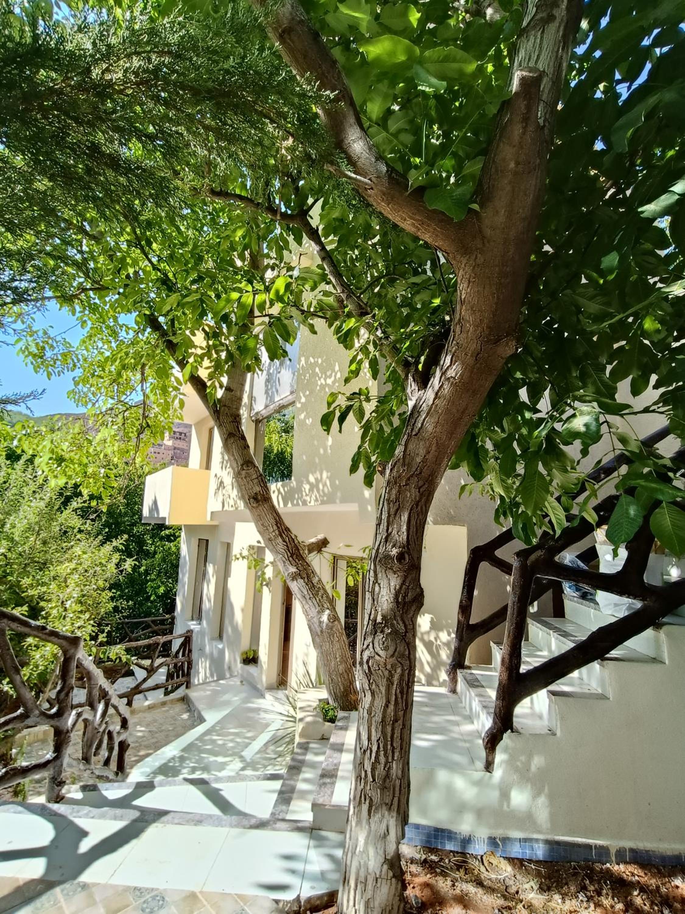 Three-Bedroom Villa photo 2