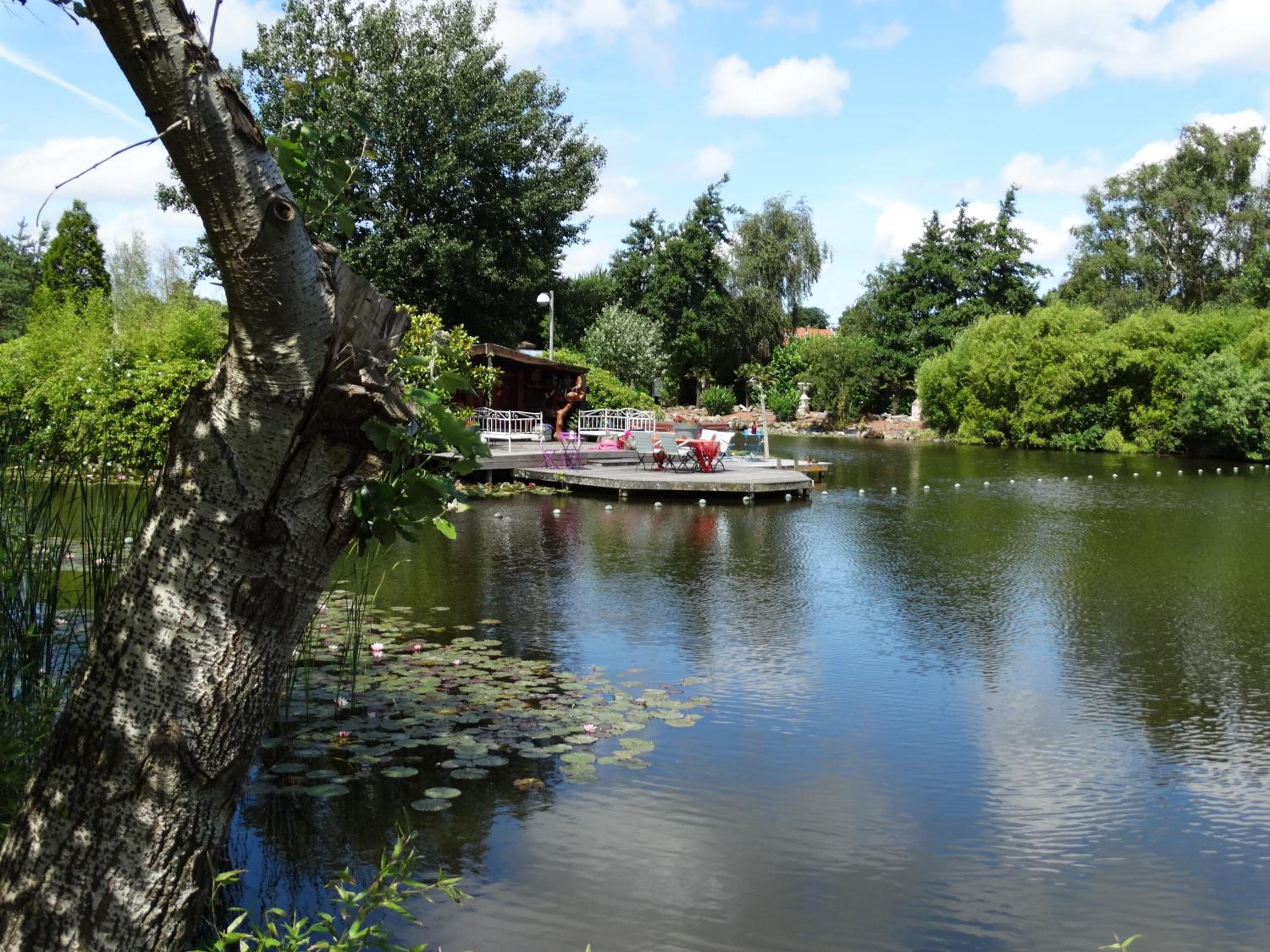 Bungalow - Water Front  - Photo 14