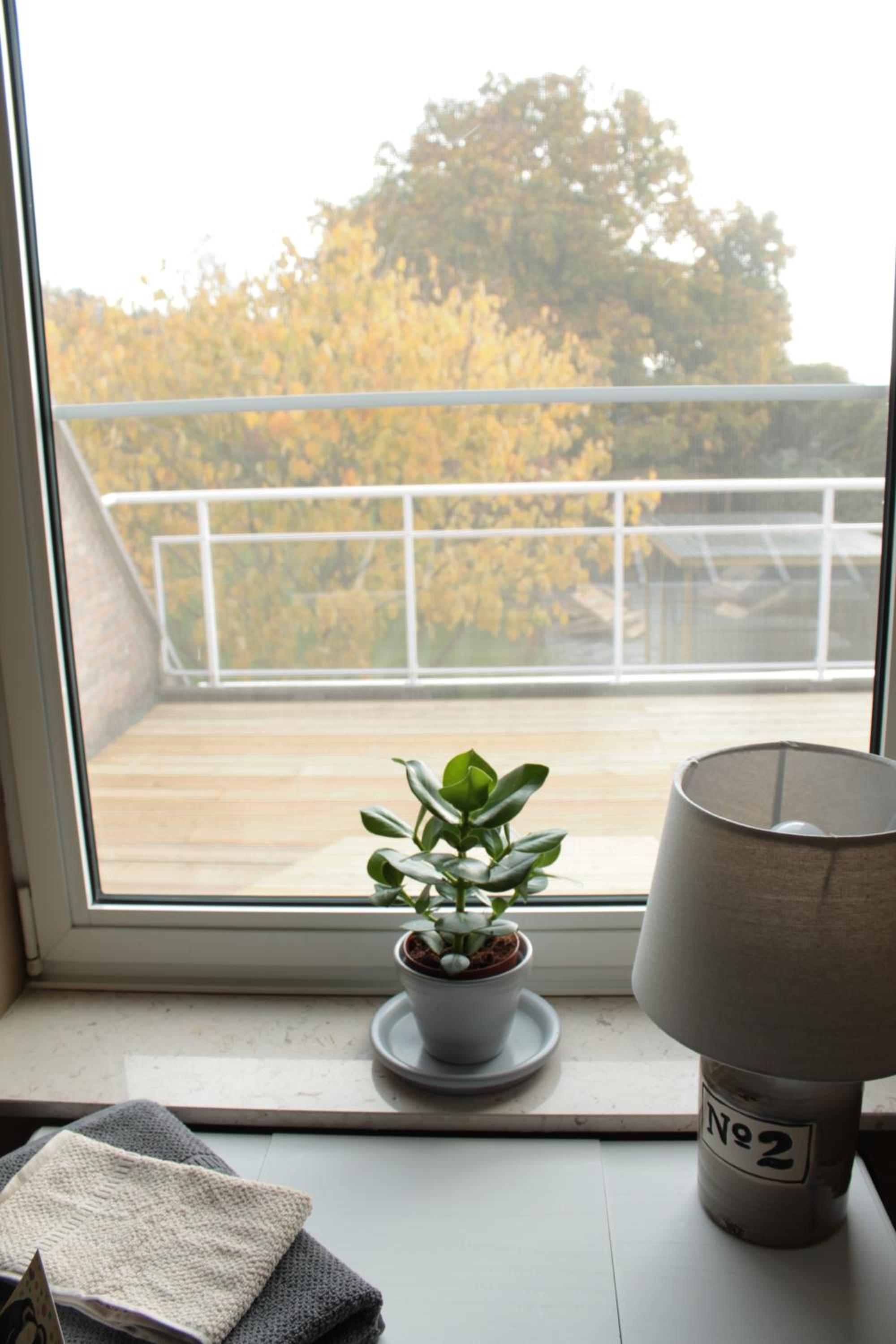 Double Room with Garden View photo 1