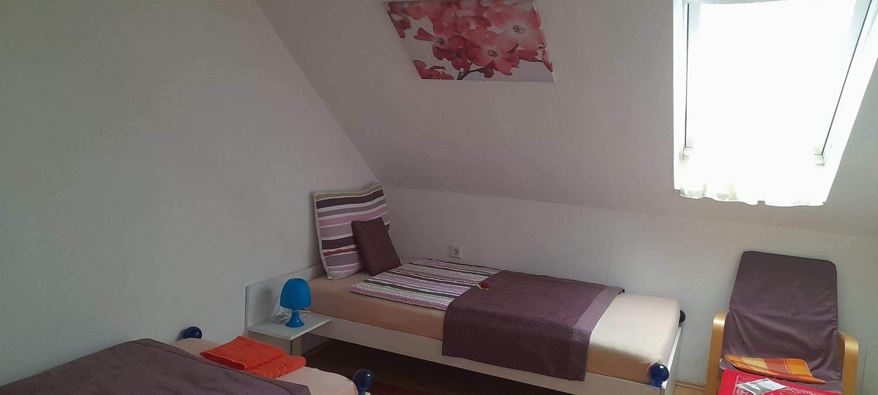 Twin Room with Bathroom photo 3