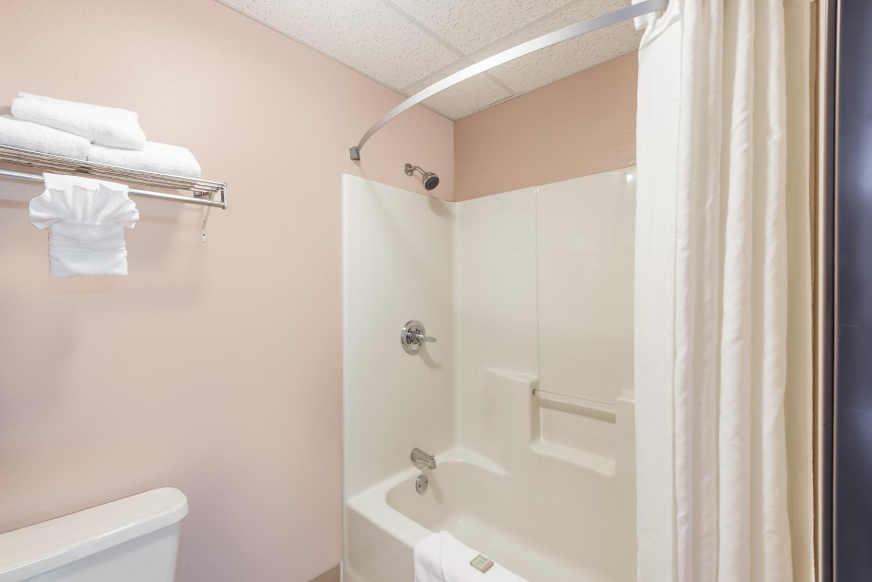 Deluxe King Studio Suite - Non-Smoking - Photo 8