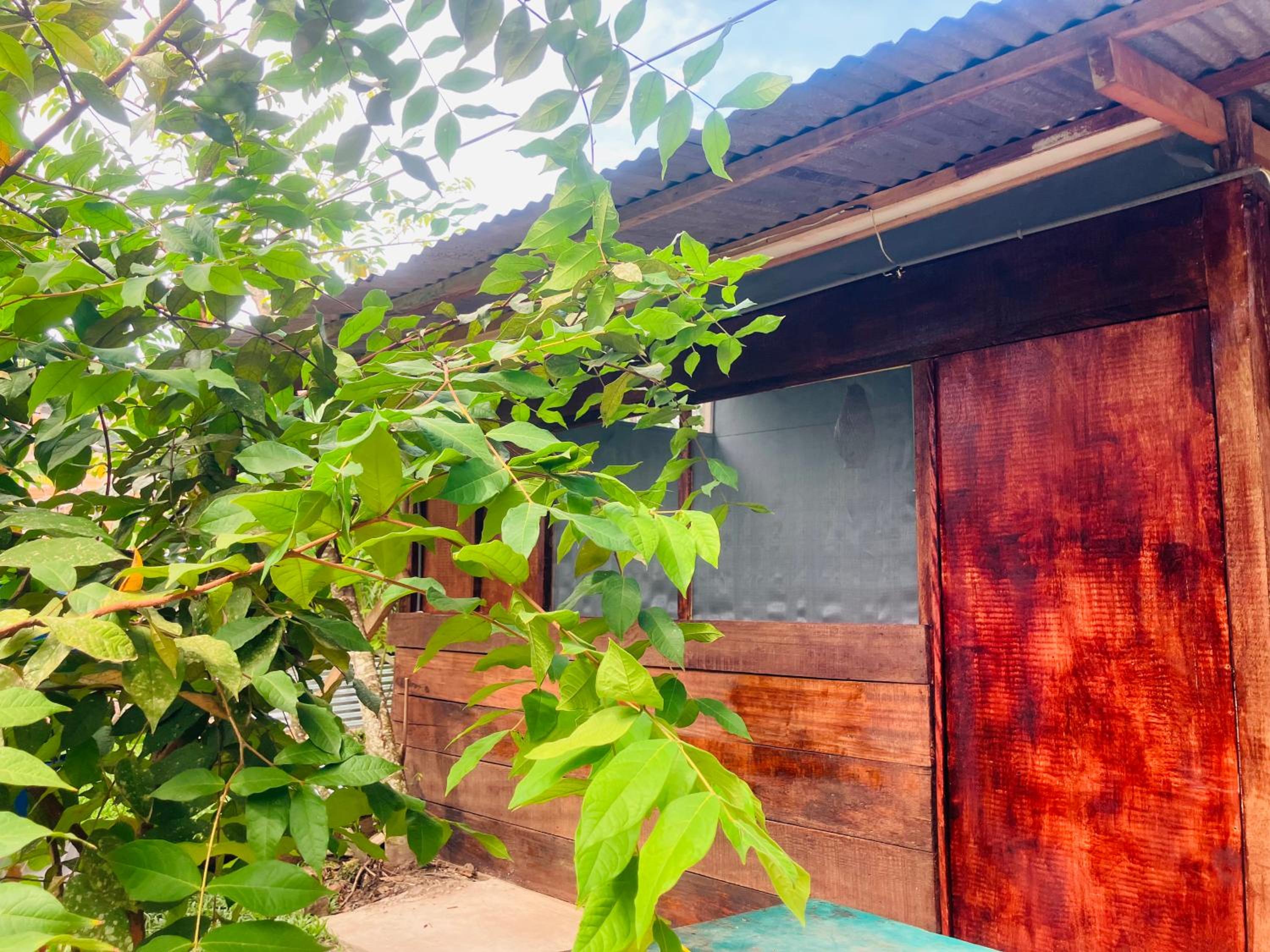 Bungalow with Garden View