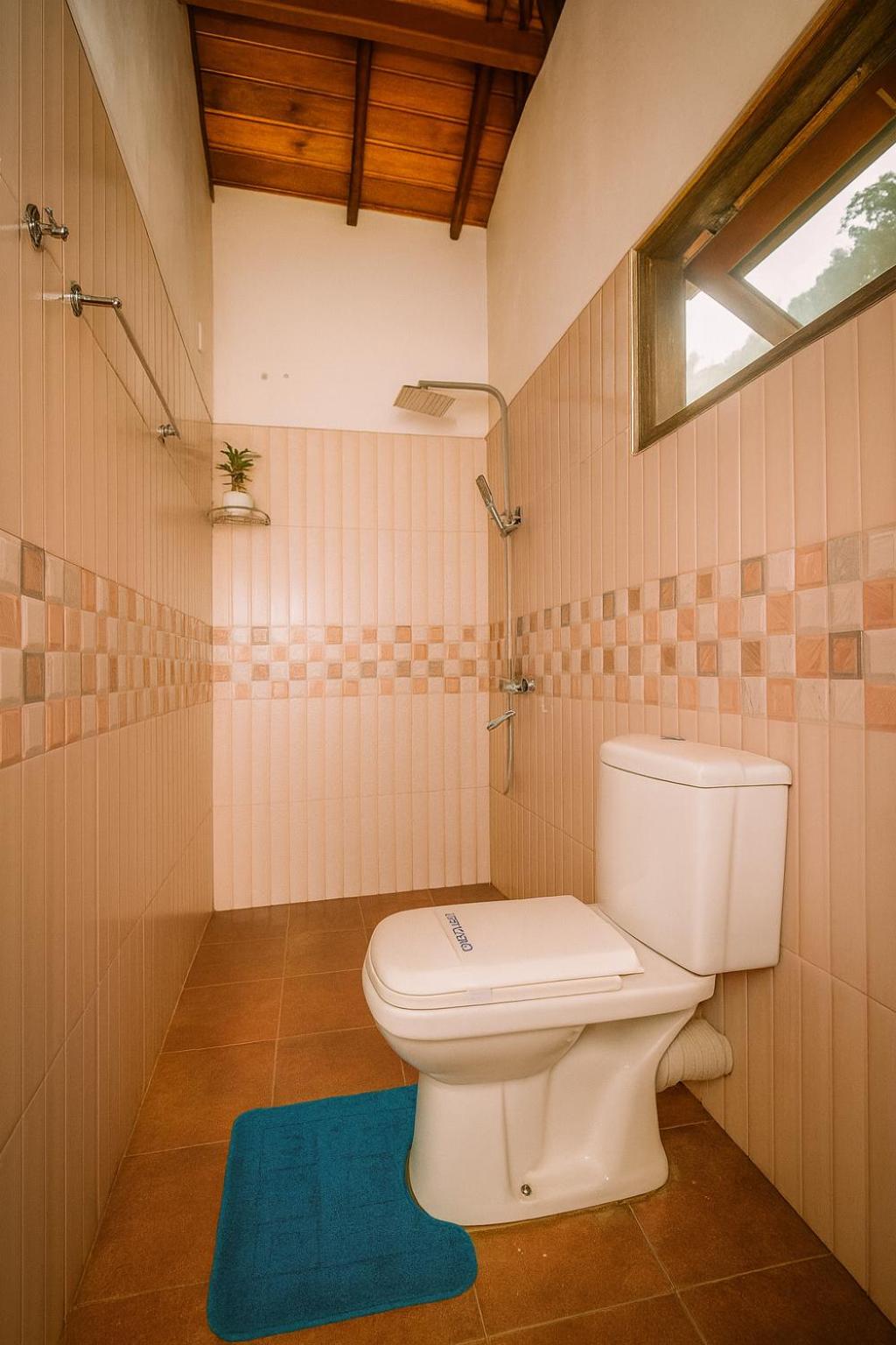 Double Room with Mountain View photo 3