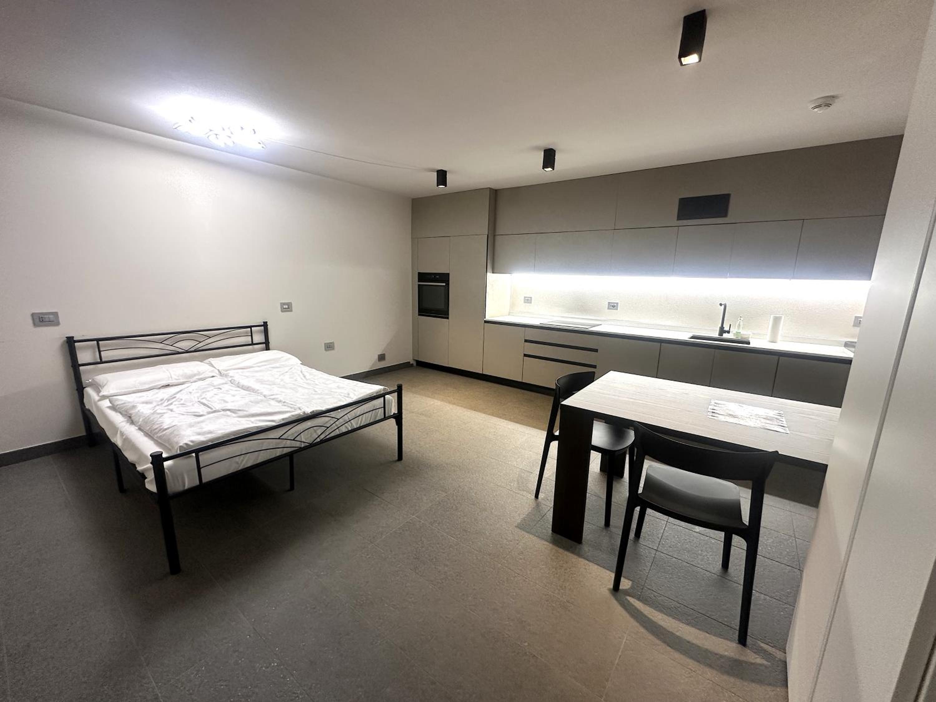 Studio Apartment photo 3