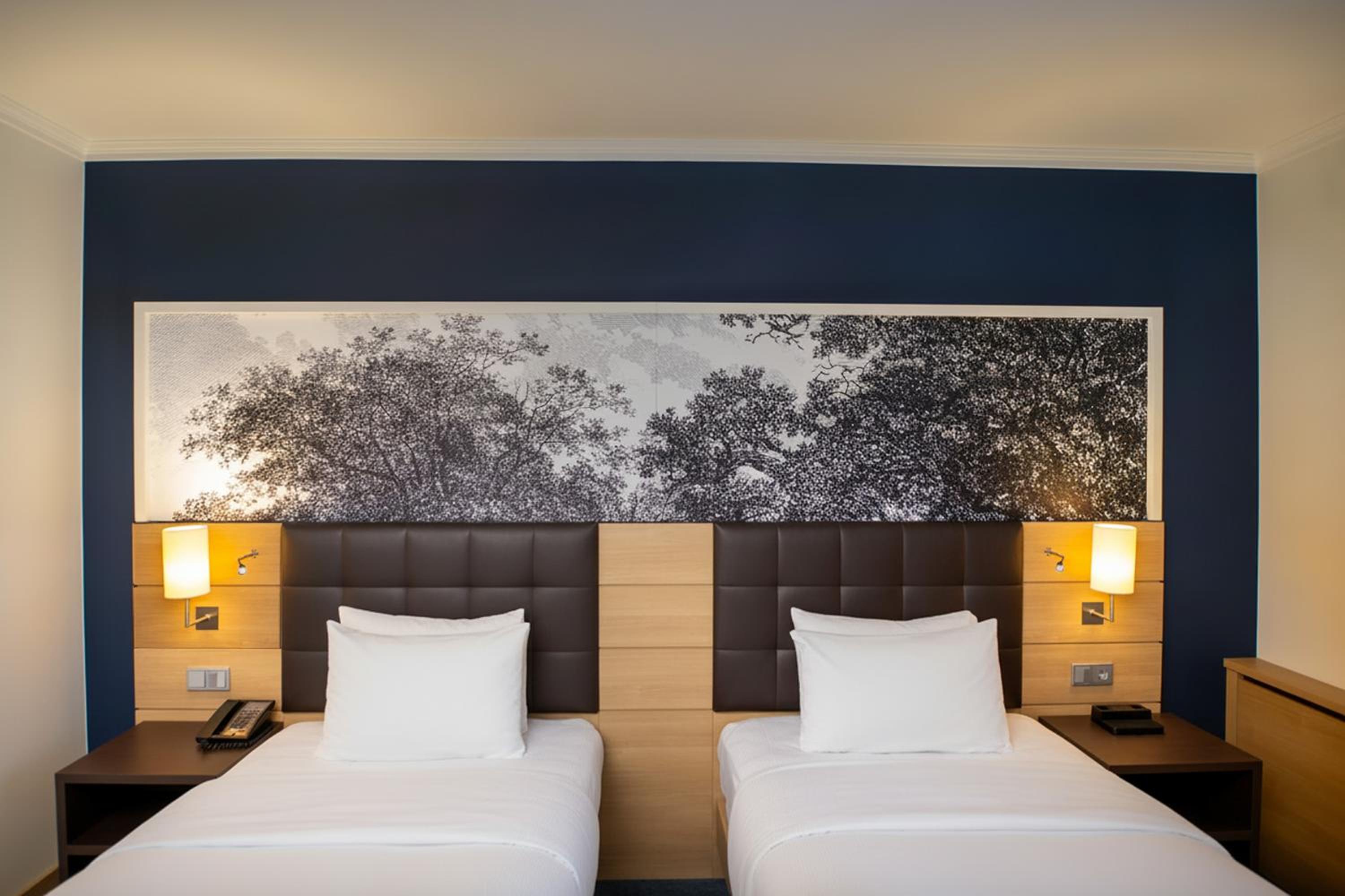 Twin Executive Room with City View - Rhine Wing - Photo 8