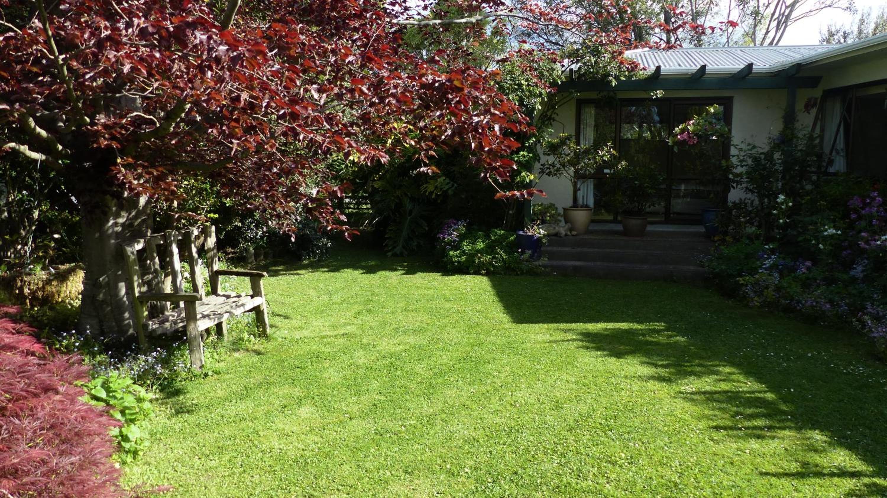Family Room with Garden View photo 3