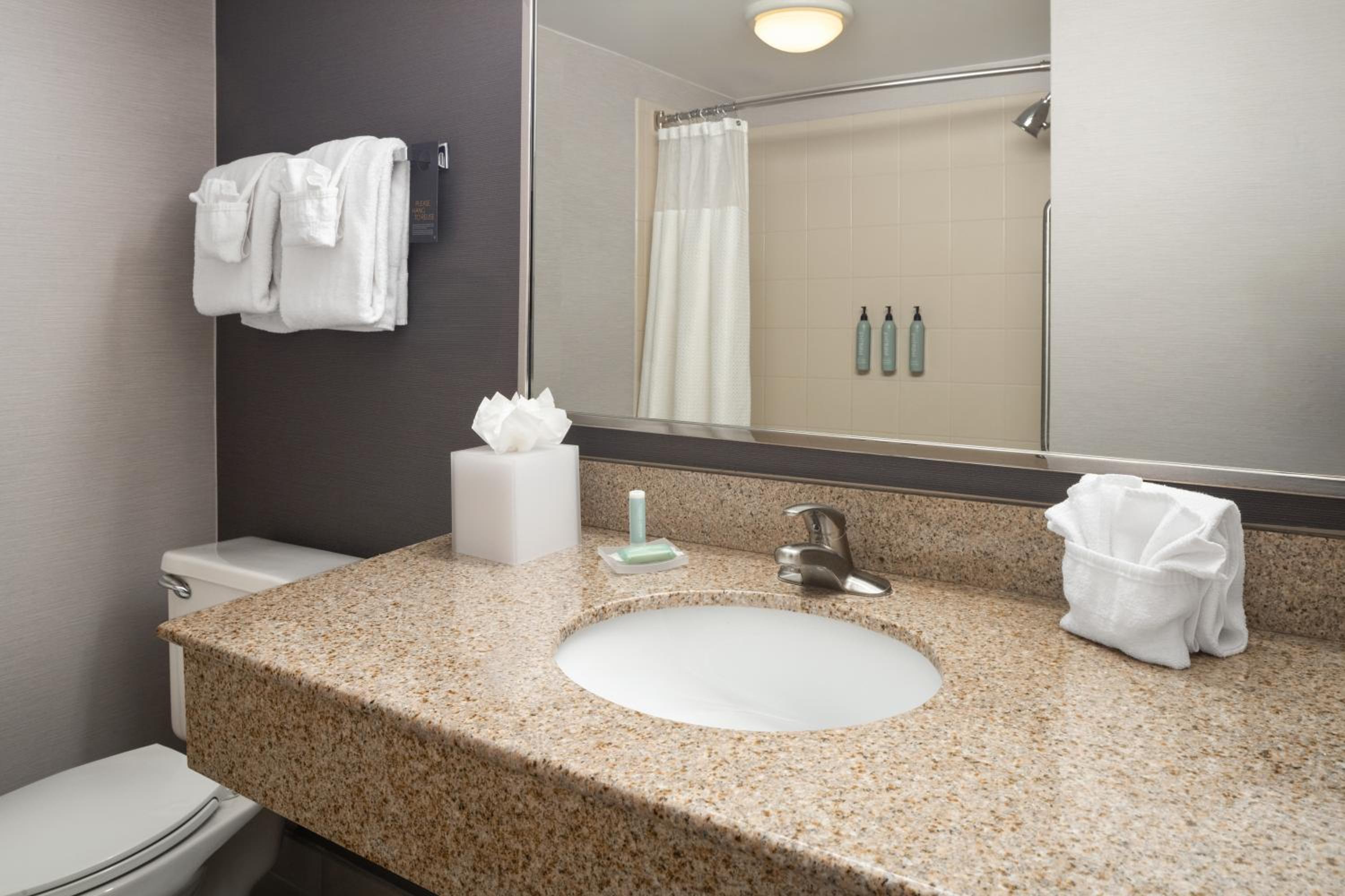 King Room with Roll-In Shower - Mobility Accessible - Photo 3