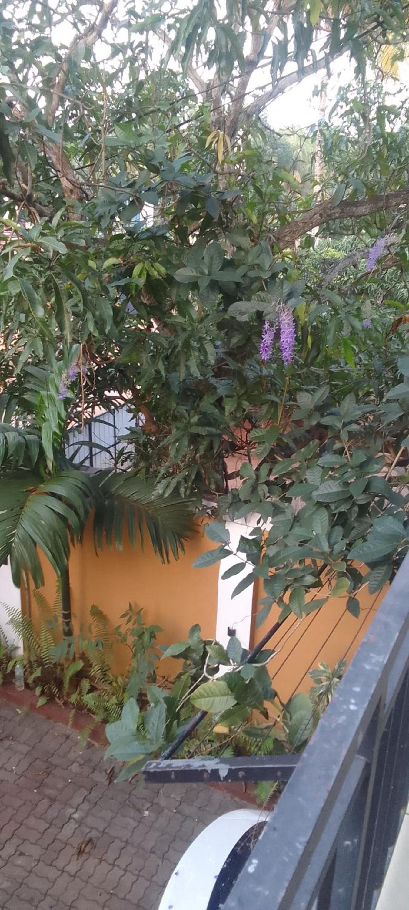 Double Room - Disability Access photo 2