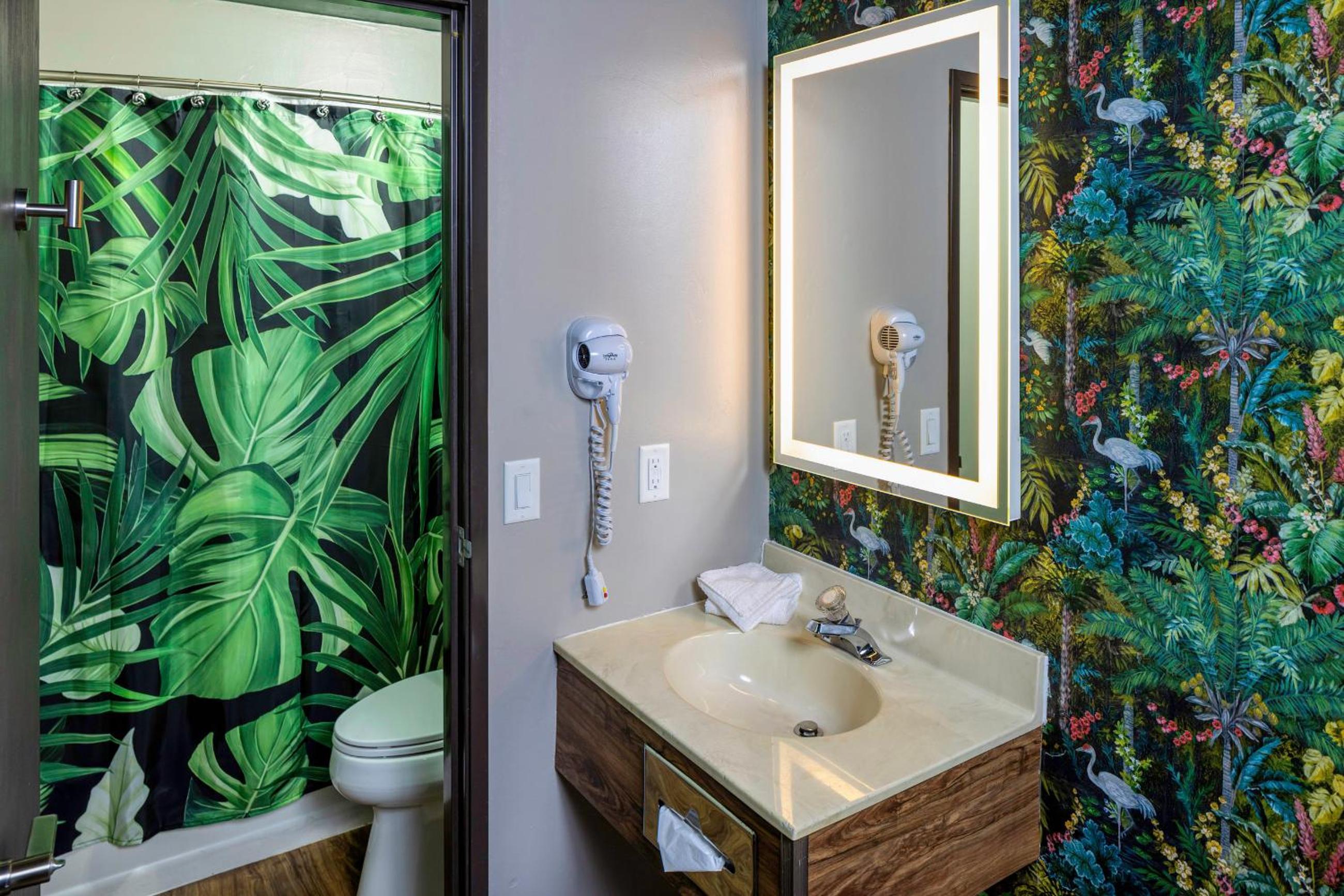 Rainforest Suite With Spa Bath photo 1