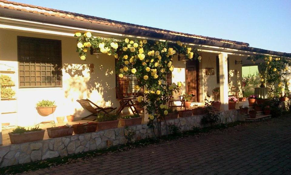 Quadruple Room with Garden View photo 3