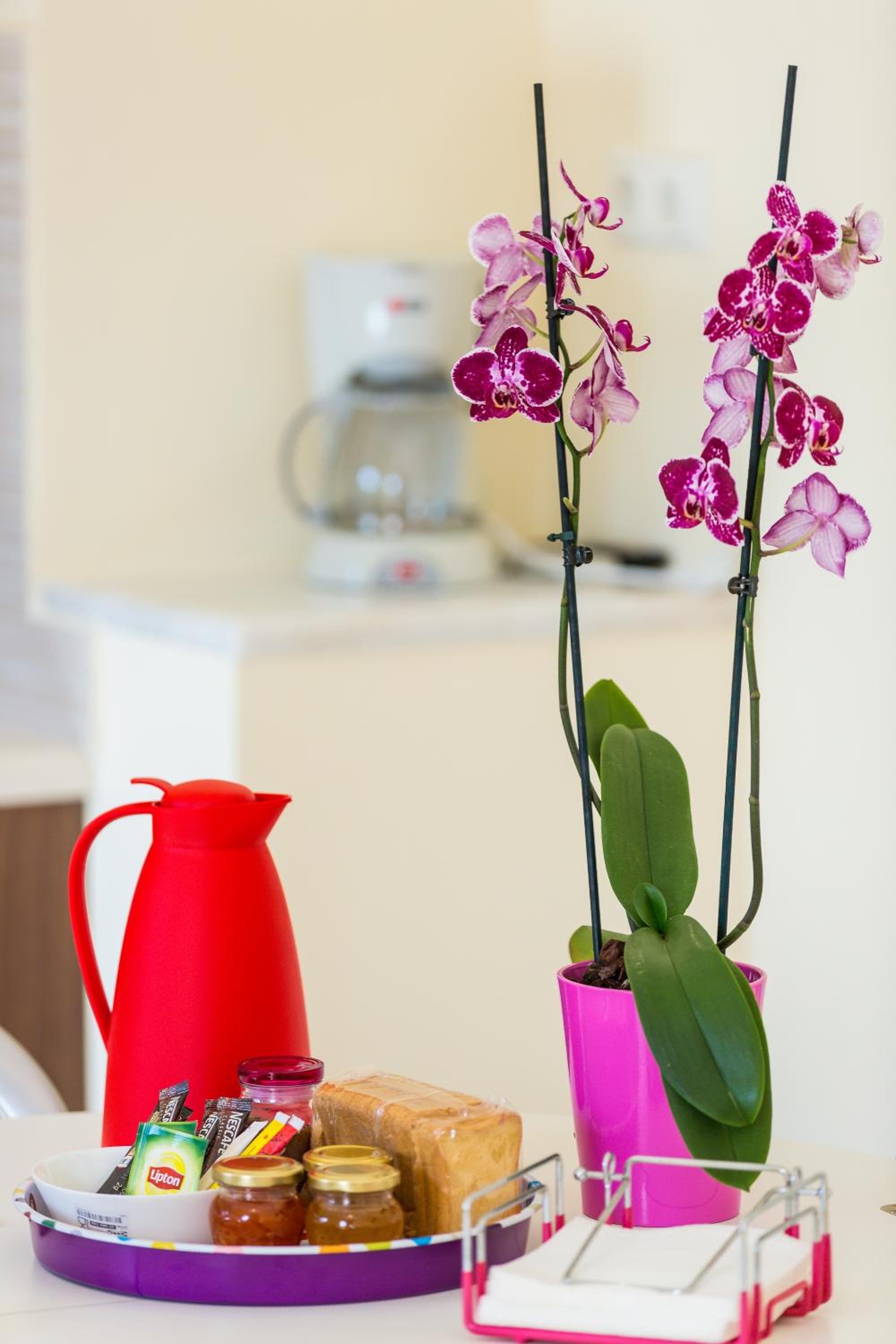 Apartment with Terrace photo 3
