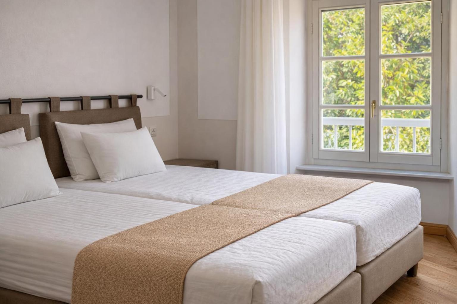 Deluxe Double or Twin Room with Lake View
