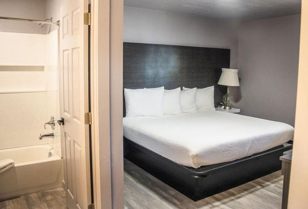 Family Suite photo 3