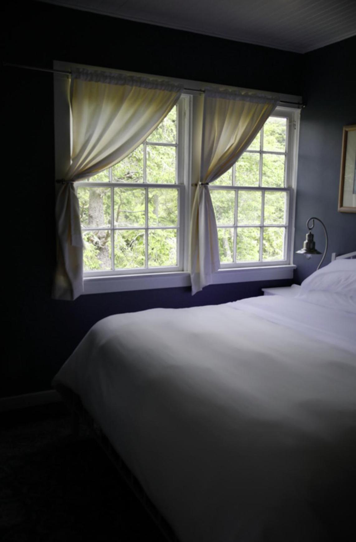King Room photo 2