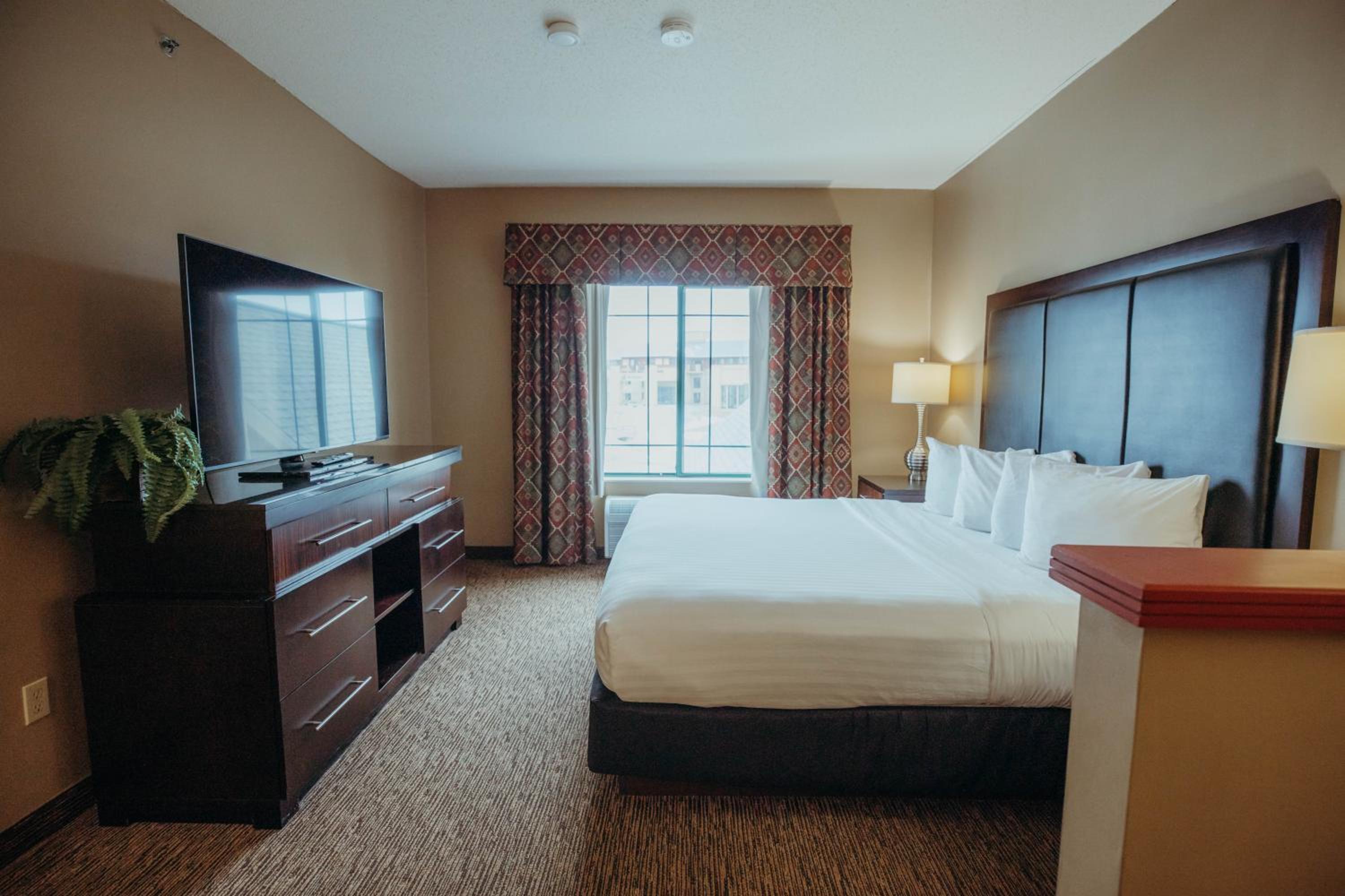 King Suite photo 1
