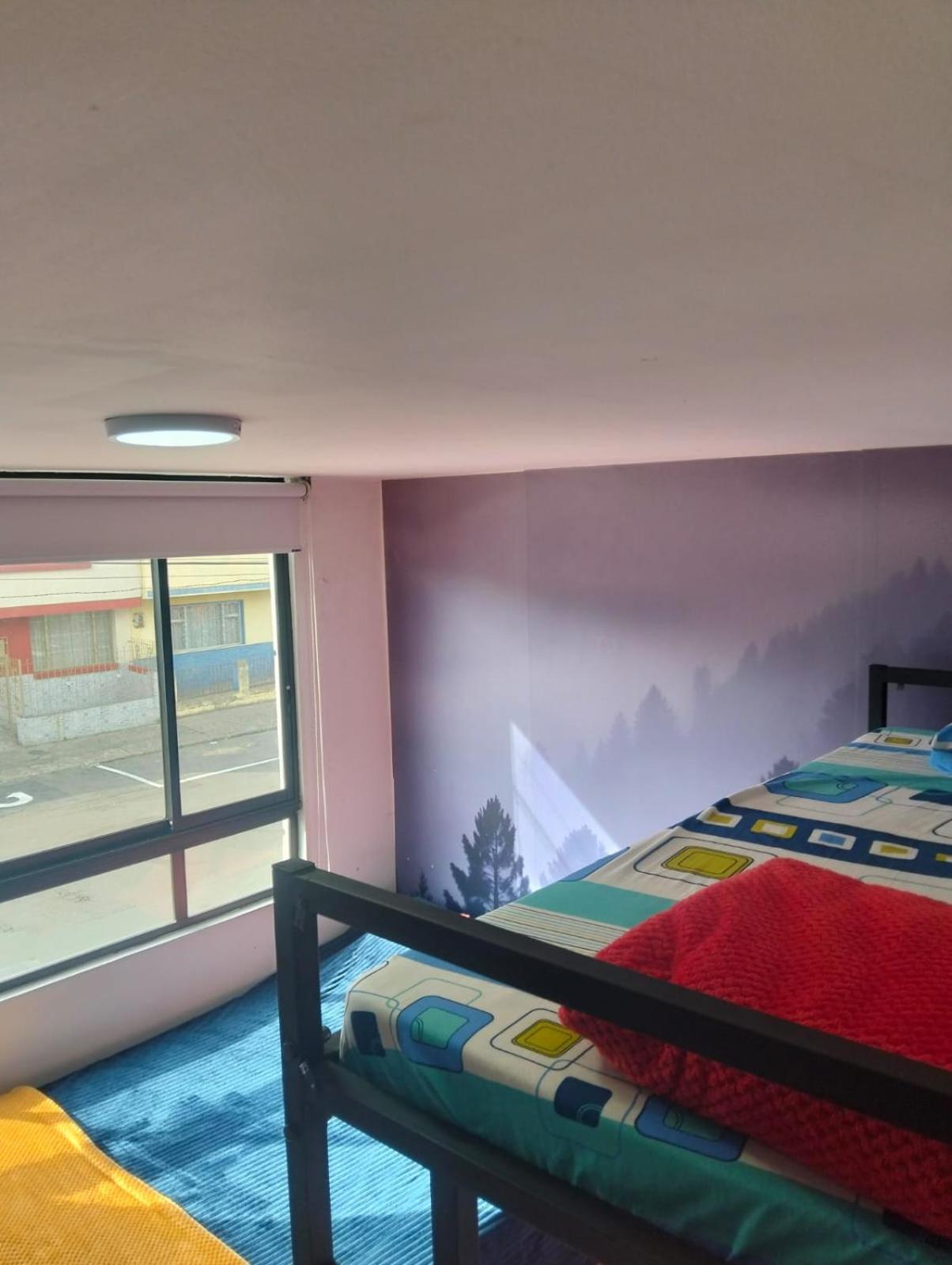 Twin Room photo 2