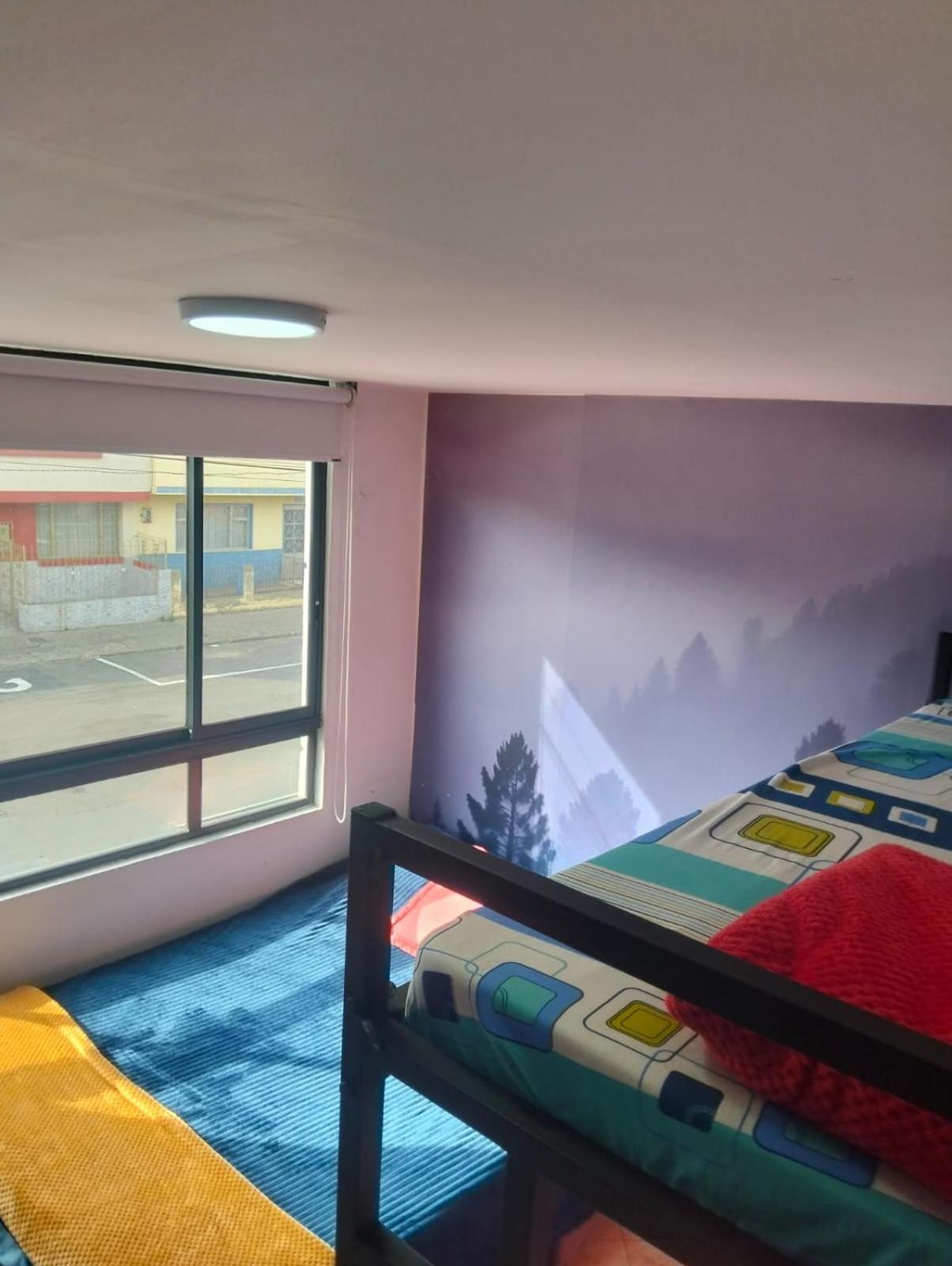 Twin Room photo 3
