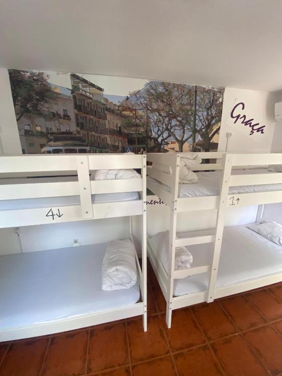 Bed in 4-Bed Mixed Dormitory Room photo 3