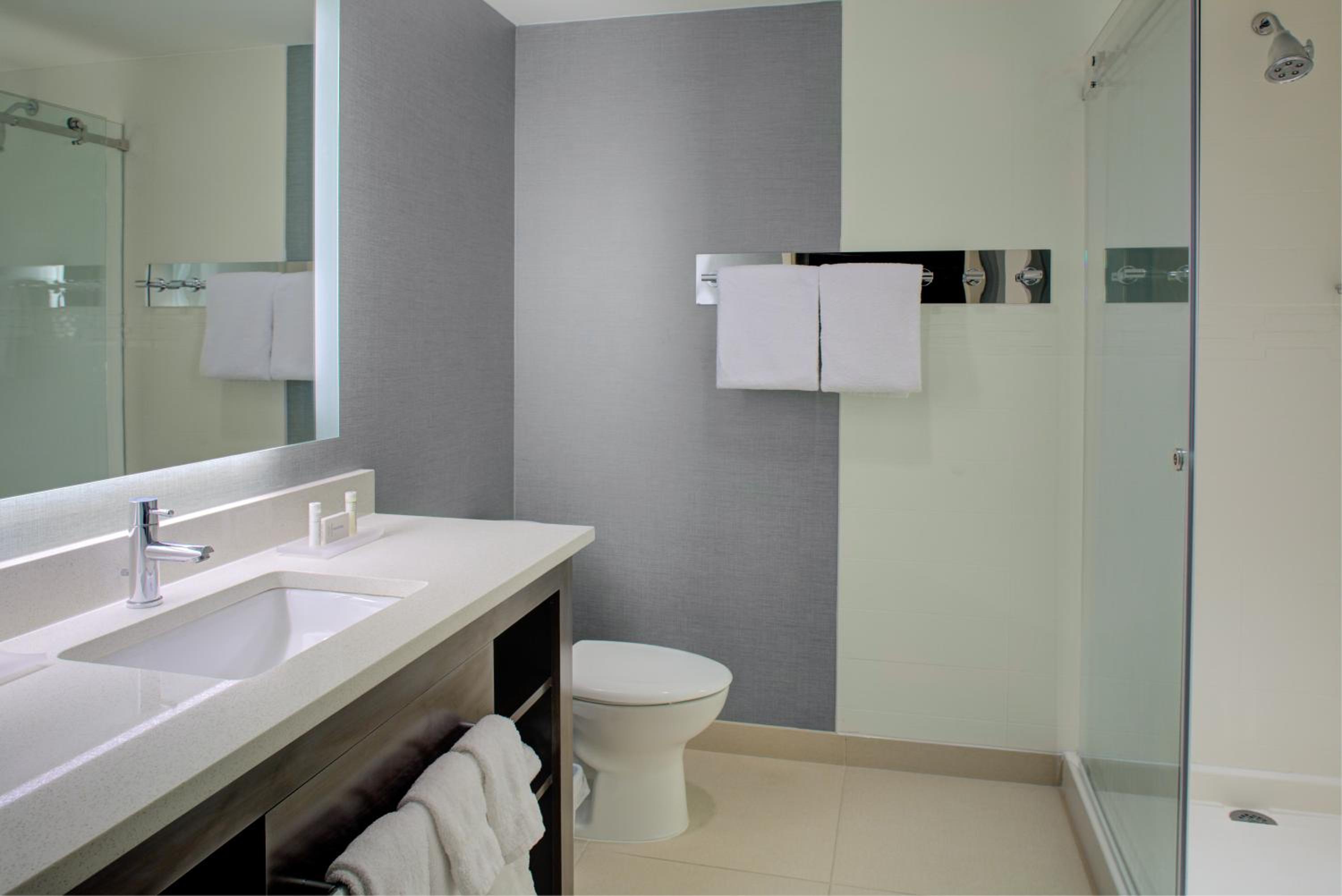 One-Bedroom King Suite with Sofa Bed - Mobility Accessible with Roll-In Shower