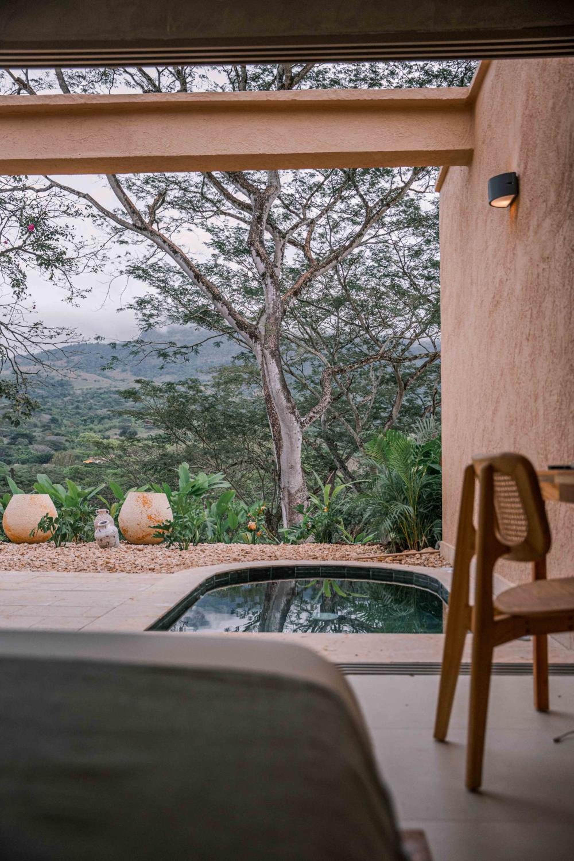 Suite with Mountain View photo 3